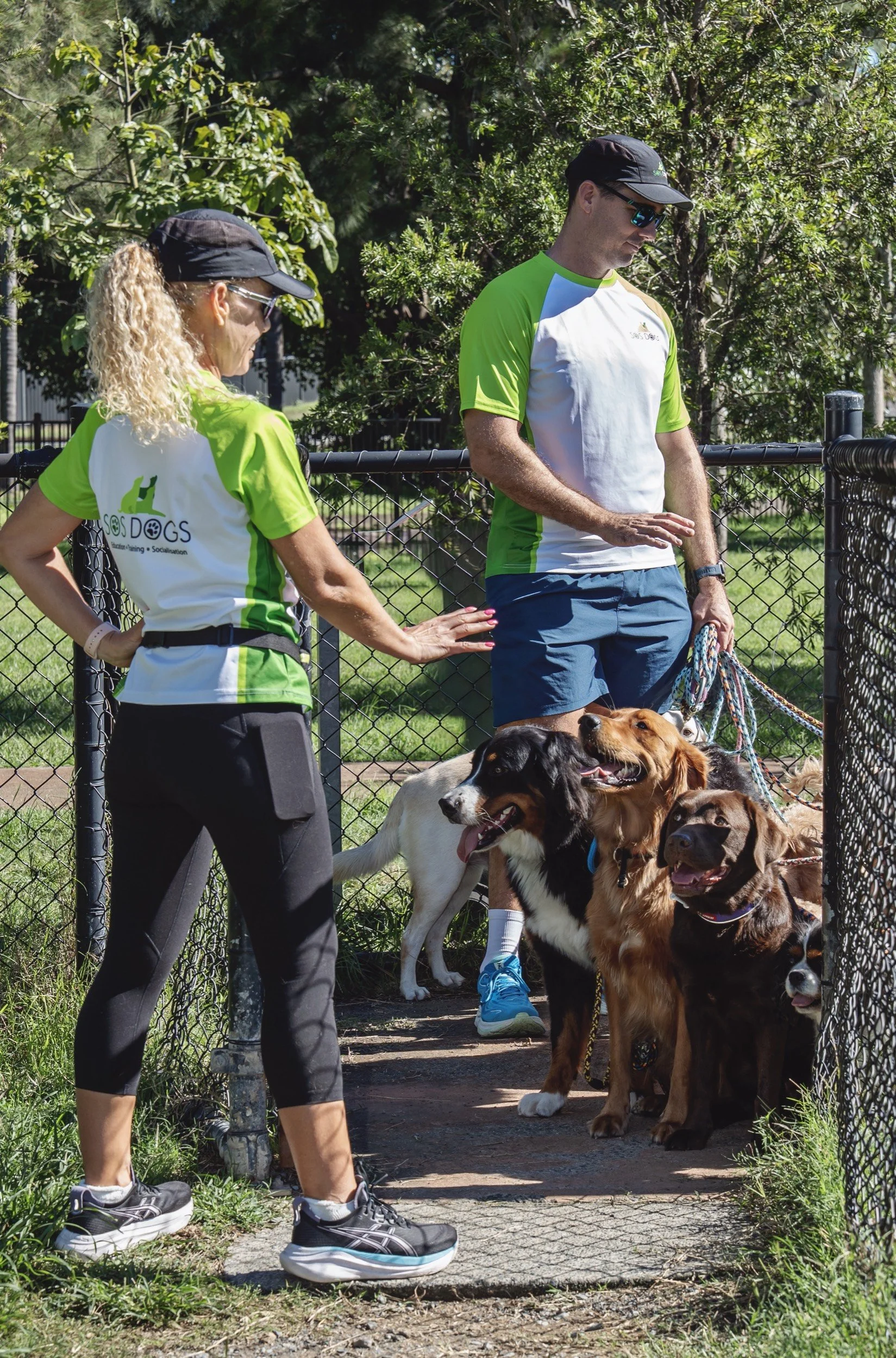 Two people, a man and a woman, dressed in athletic clothing, standing near a fence with multiple dogs, including golden retrievers and other breeds, outdoors in a park with trees in the background.