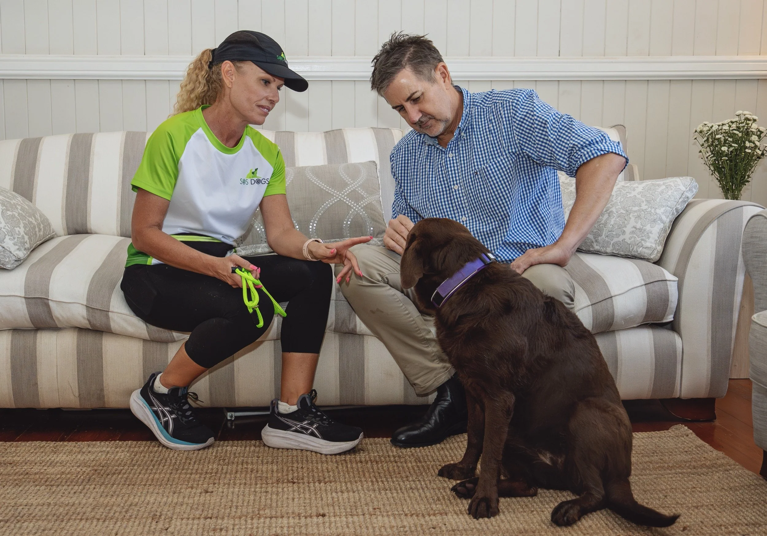 A woman in athletic clothes and a man in a checkered shirt sit on a sofa, interacting with a large brown dog with a purple collar in a living room with white paneled walls and a vase of white flowers.