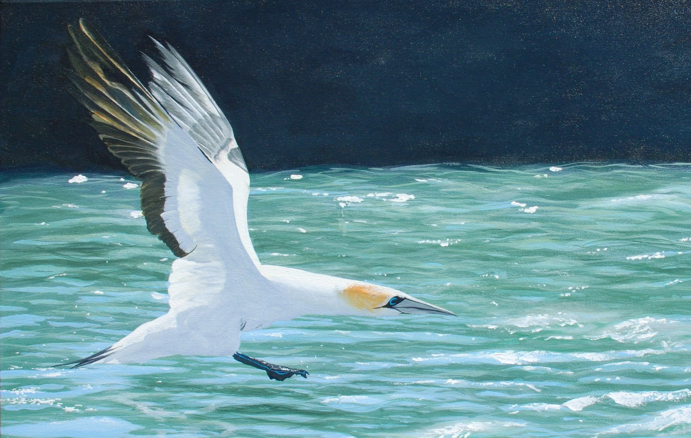 Lift Off HXW 51X81cm (2).JPG