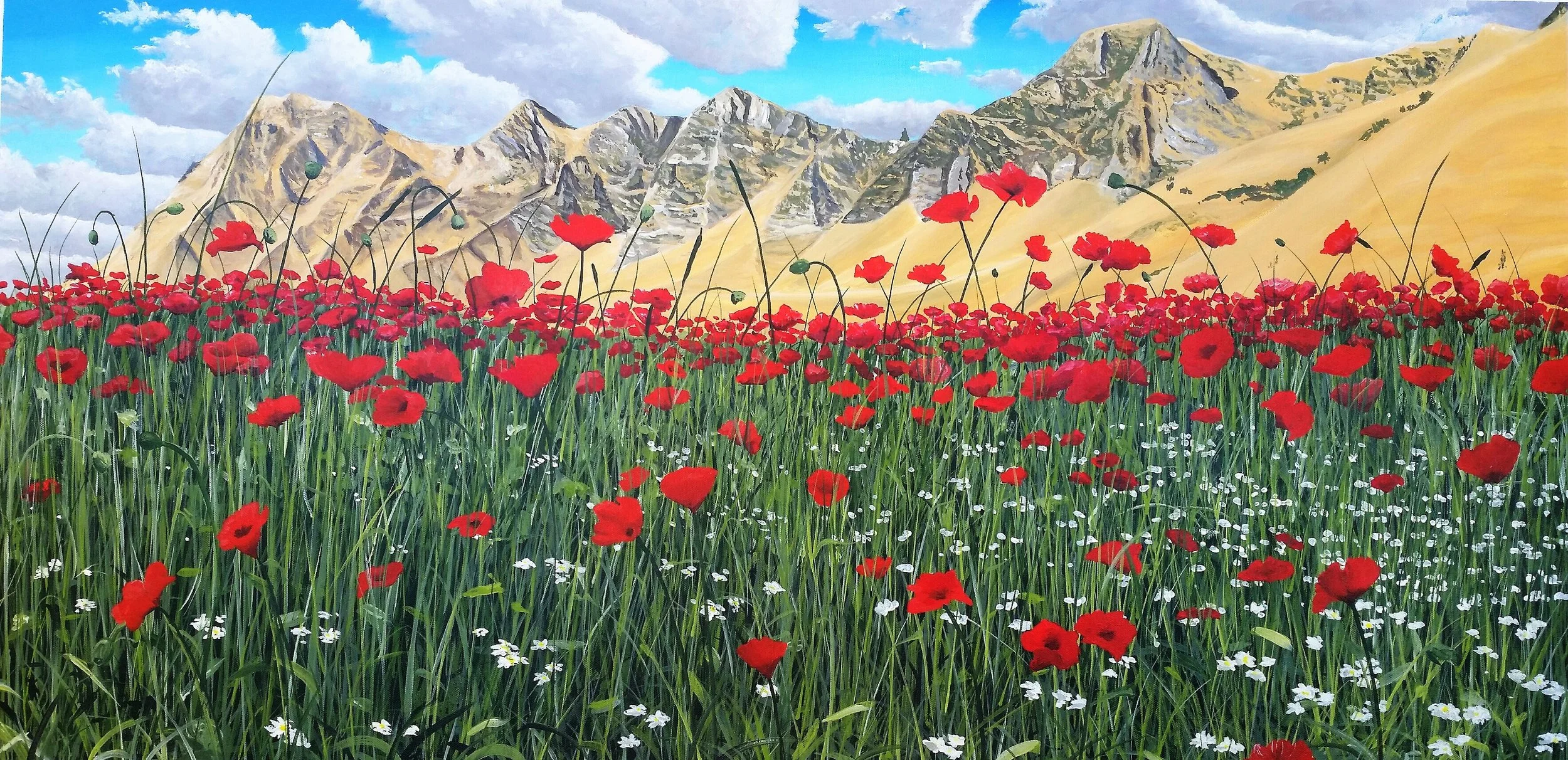 Poppies in Paradise 2.jpg