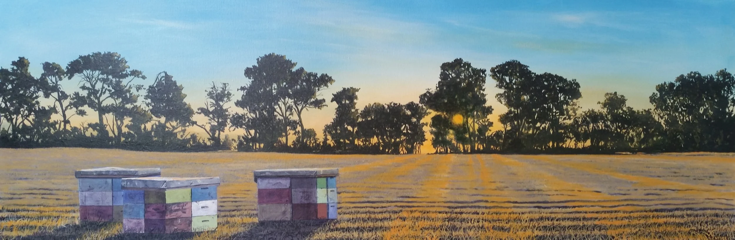 Sunrise_Arataki_Road.jpg