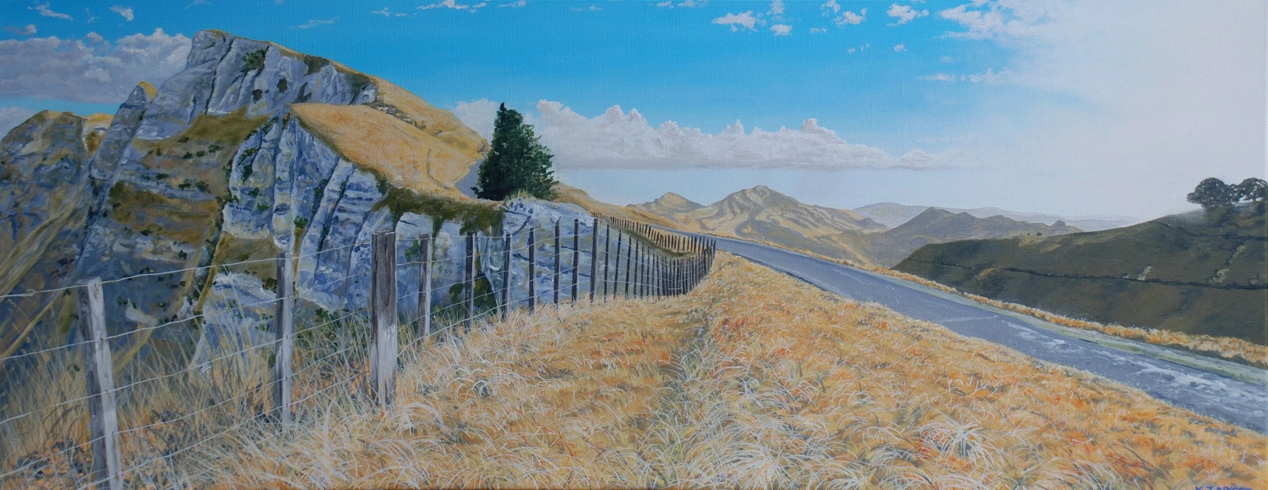 Summer evening on Te Mata Peak.JPG