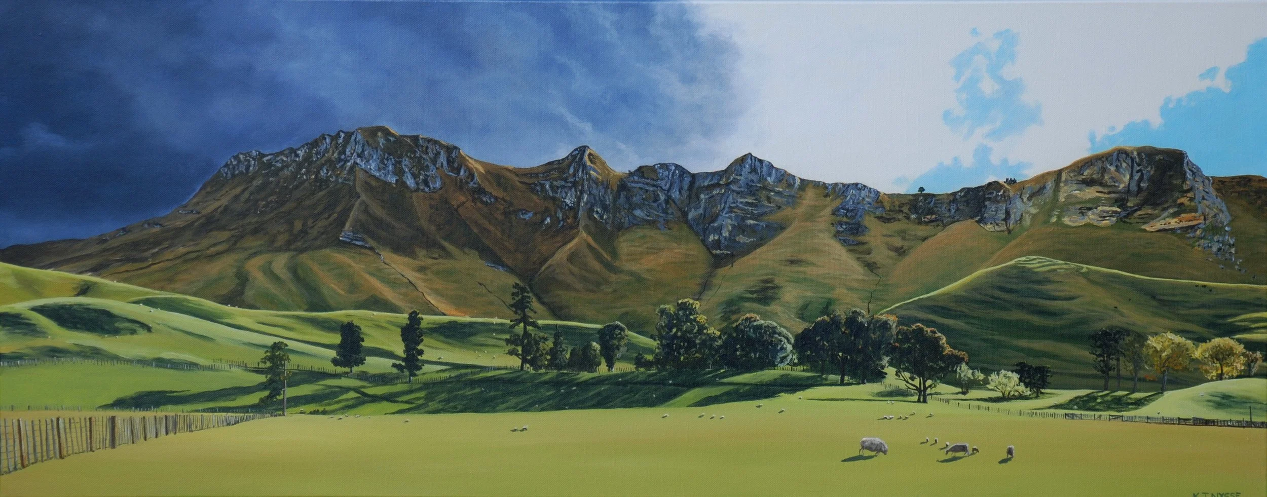Winter's_Afternoon_Te_Mata_Peak.JPG