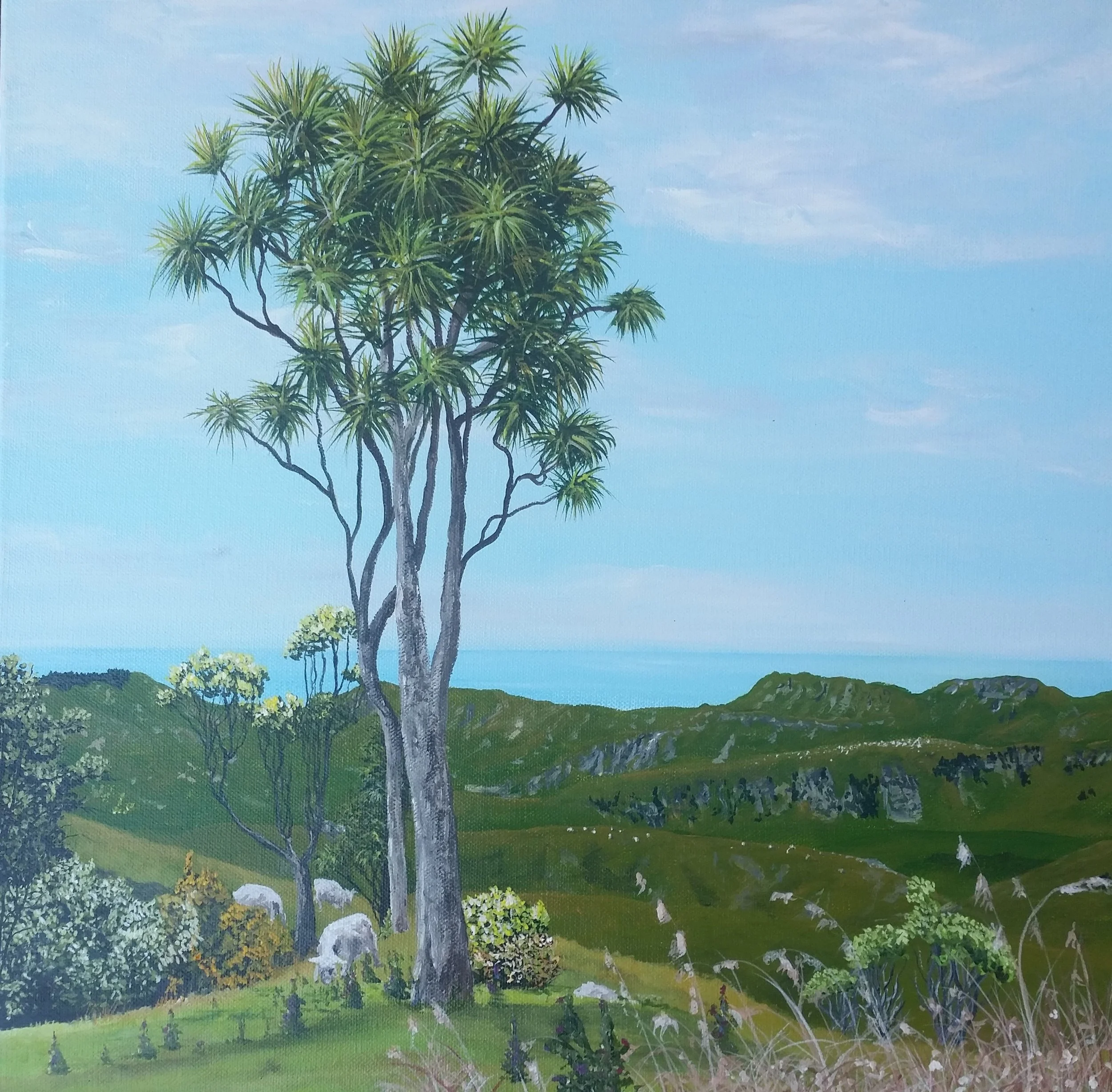 Waimarama Hills.jpg
