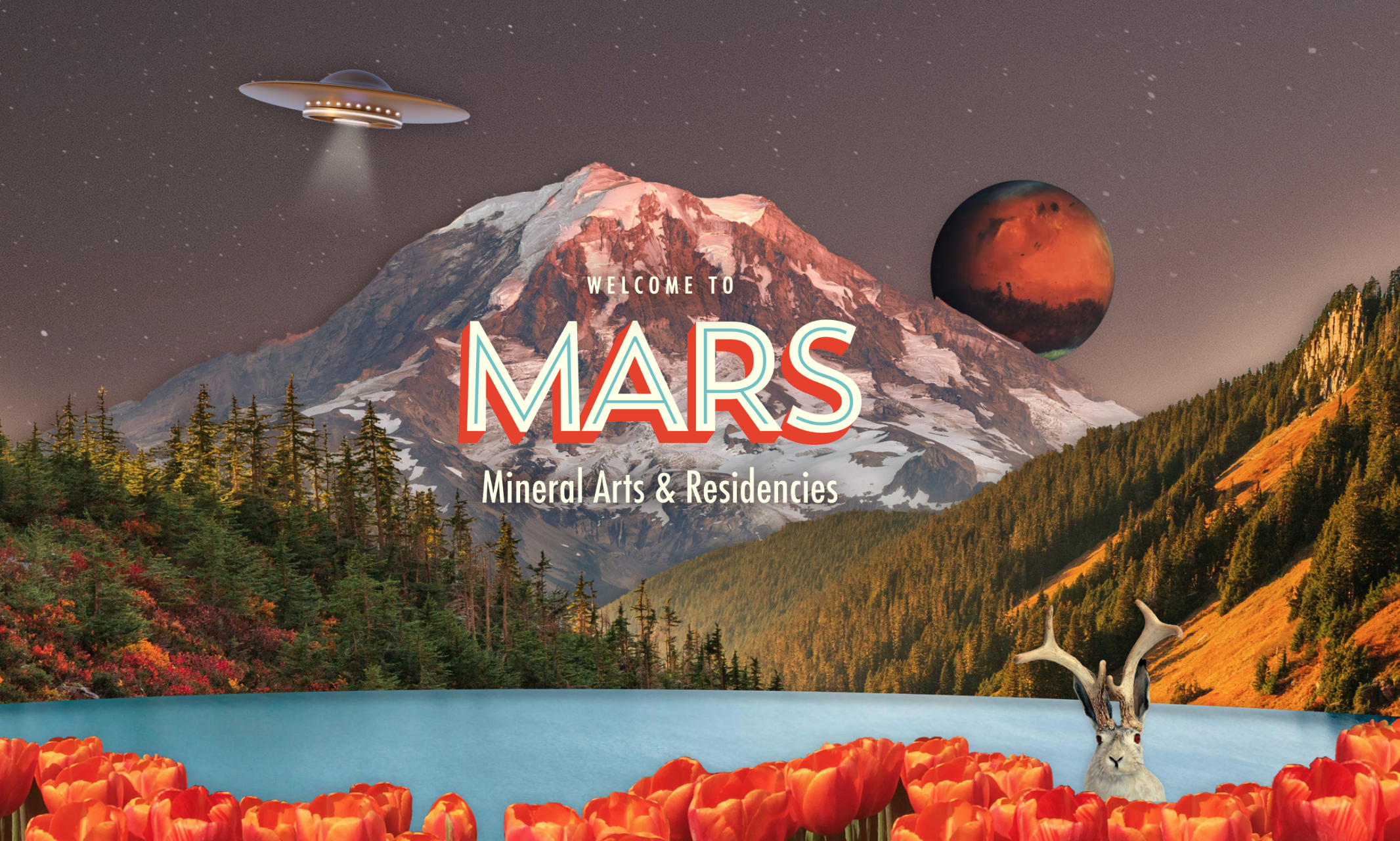 MARS Website + Rebranding