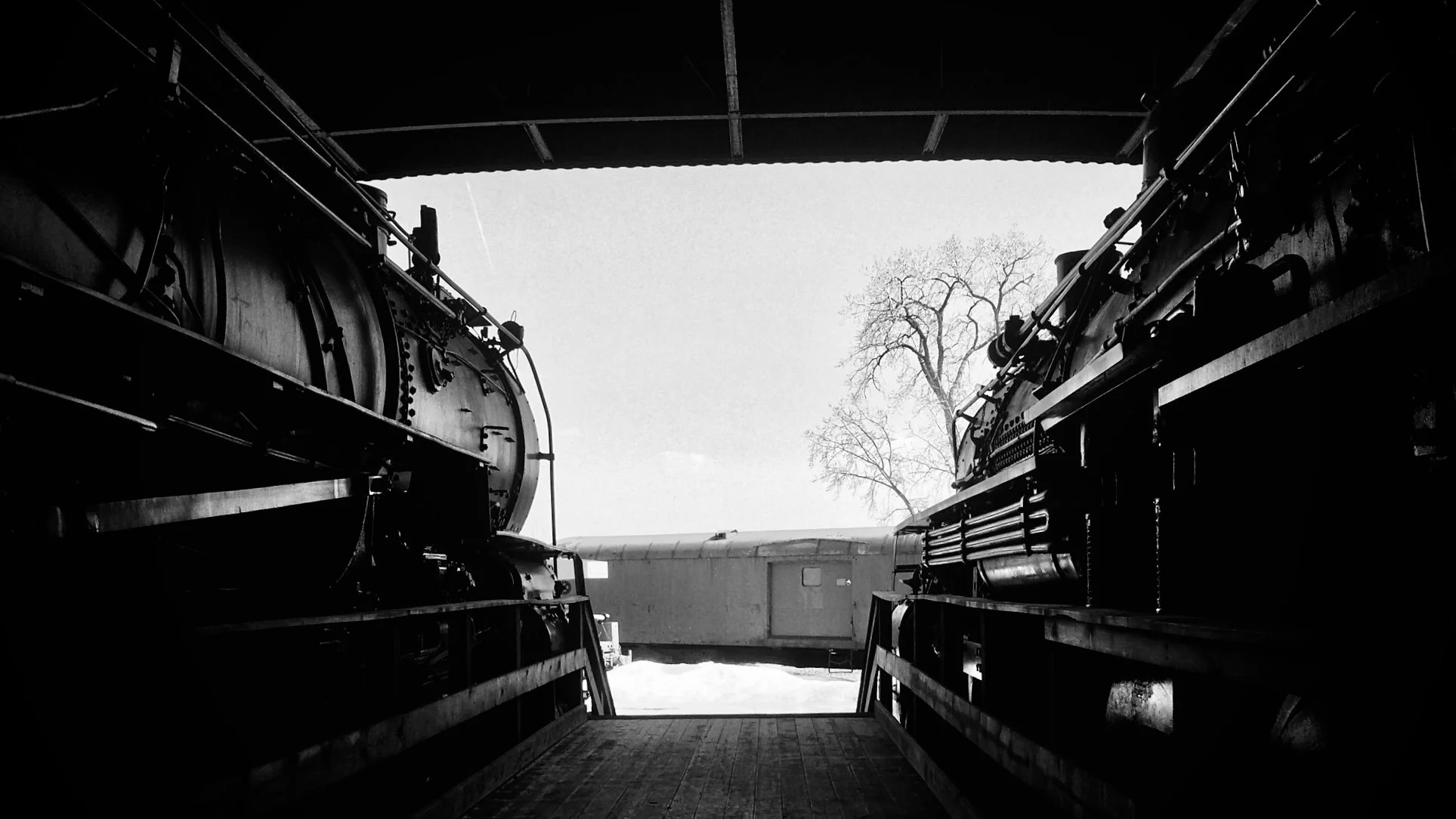Black and white photo of the inside of a train shed, looking out of the open back door. Two large locomotives are facing each other on either side, with a snow-covered ground and a leafless tree in the background.
