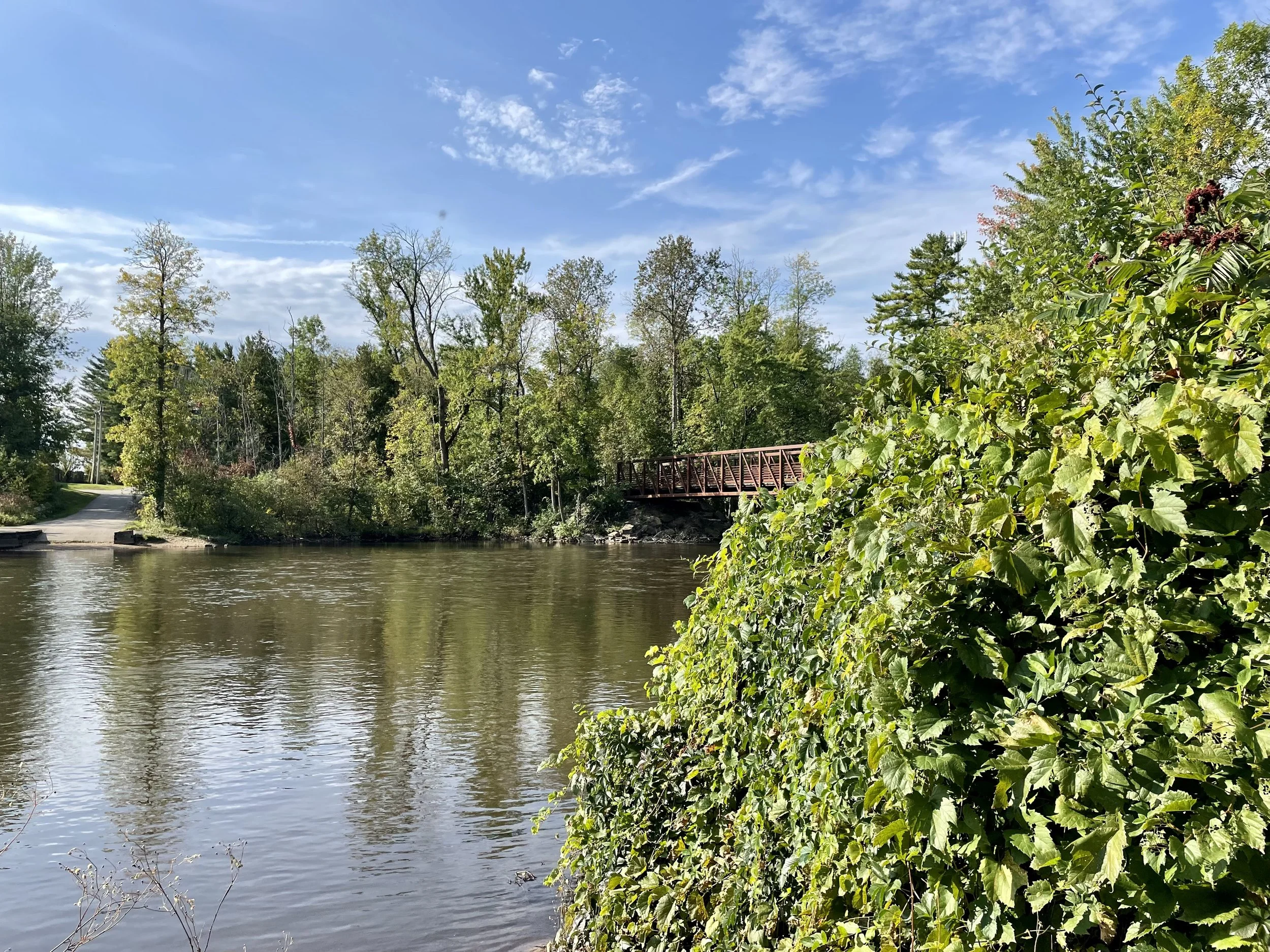A river with calm water, surrounded by green trees and shrubs. There is a bridge in the middle distance, and a blue sky with some clouds overhead.