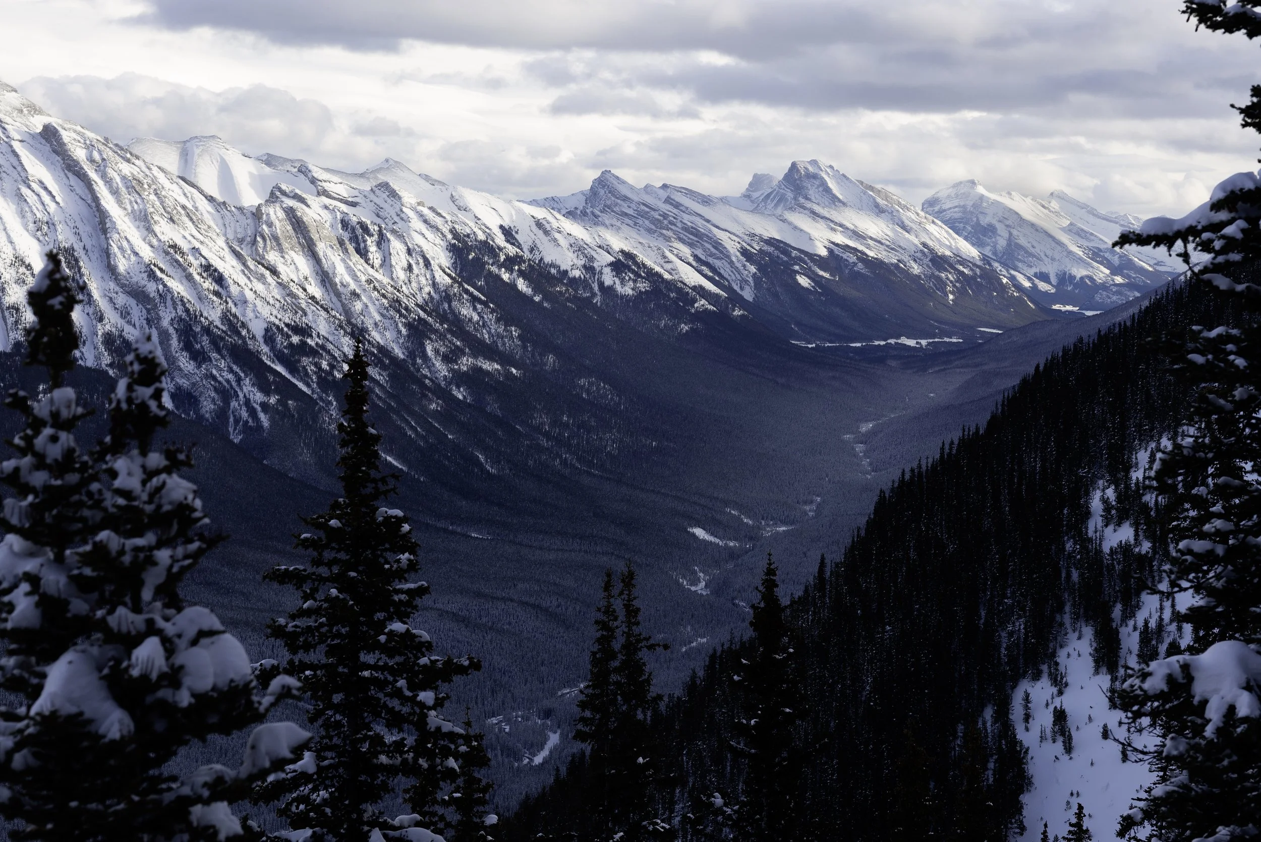Mt. Rundle Cold.jpg
