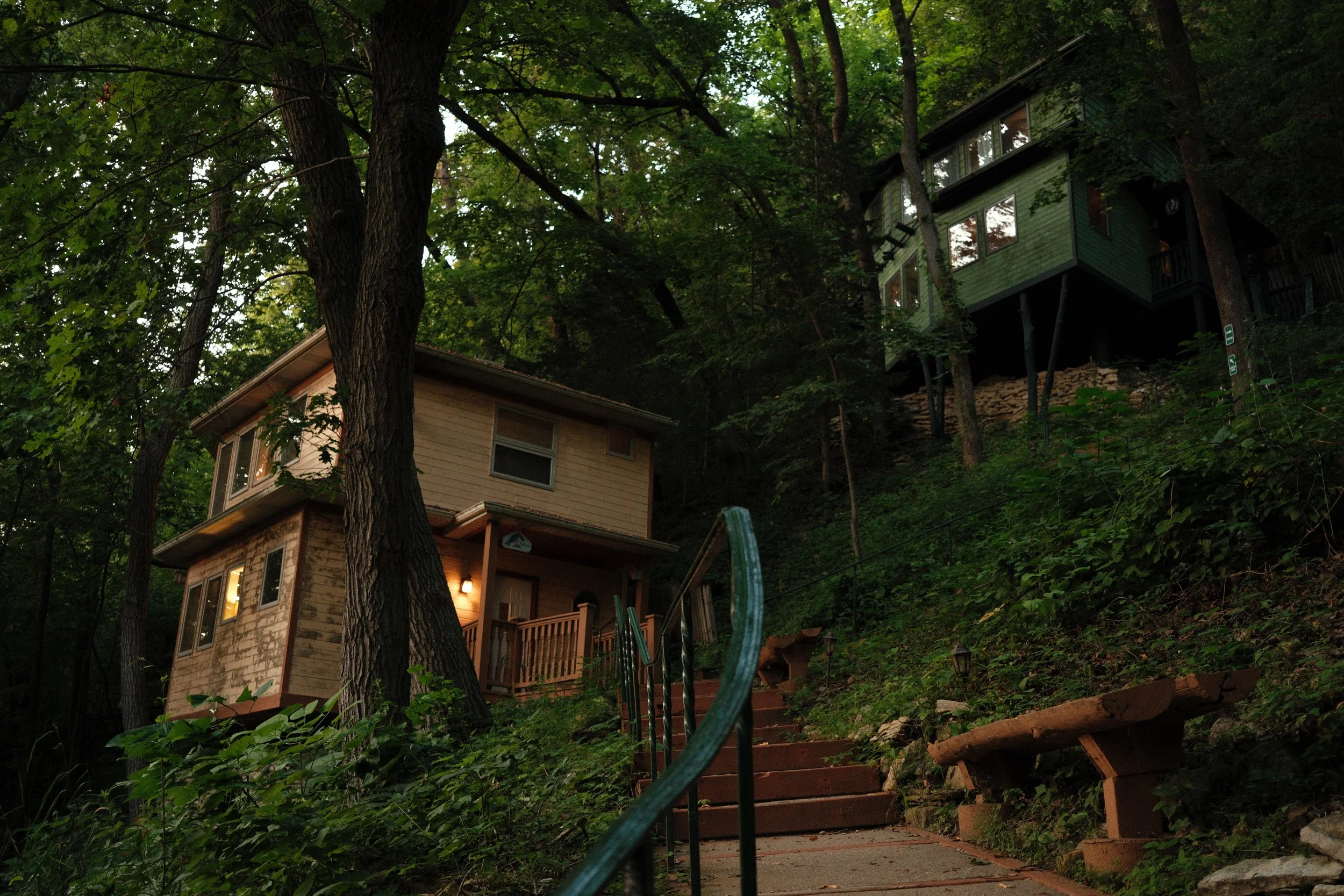 A house built into a hillside among tall green trees, with a staircase leading up to it, surrounded by lush foliage.