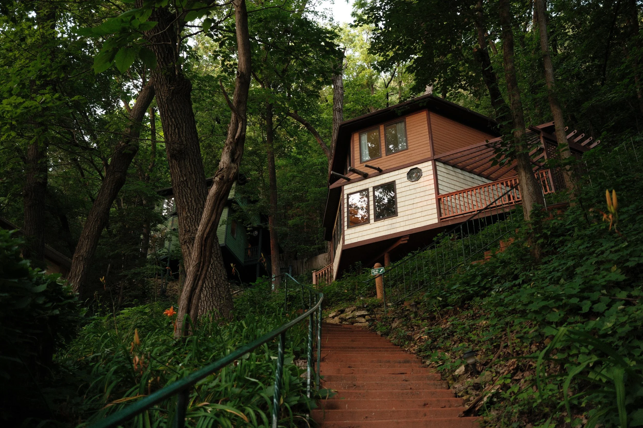 A house built on a hillside surrounded by dense trees, with a staircase and railing leading downhill through lush greenery.