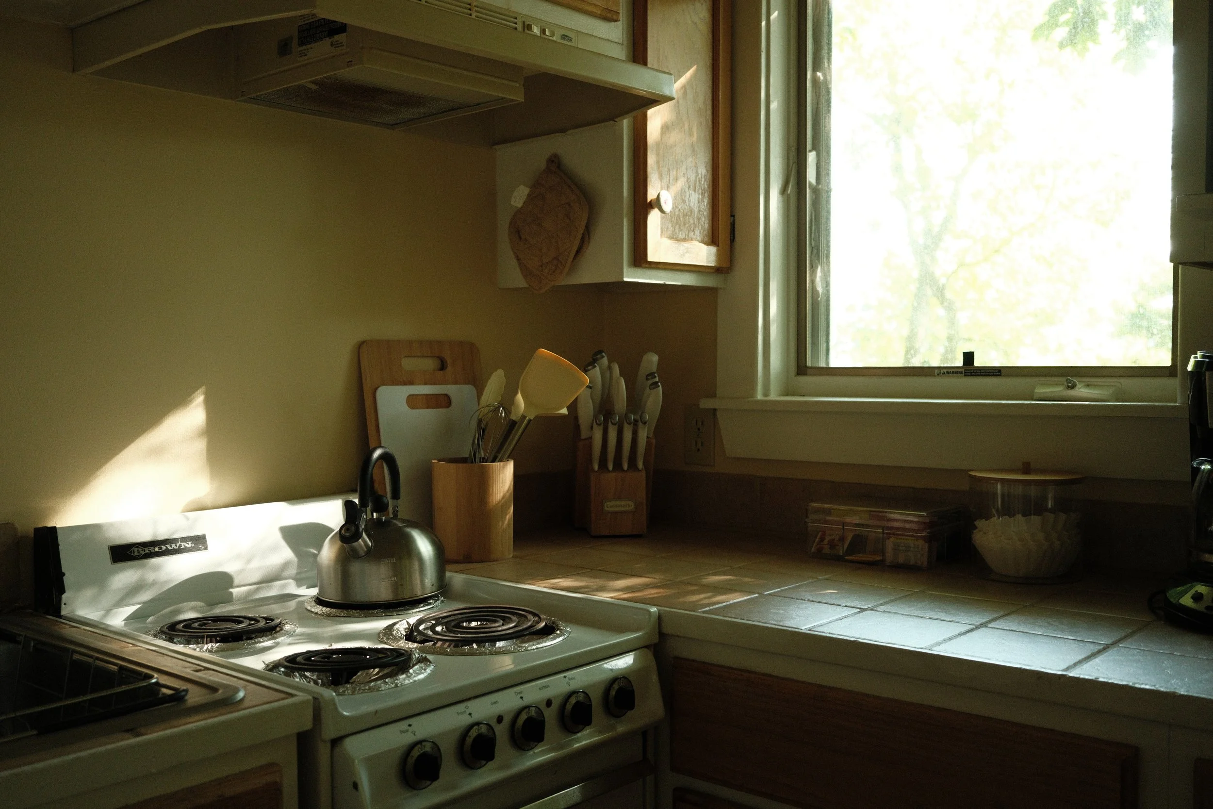 hawksviewkitchendetail.JPG