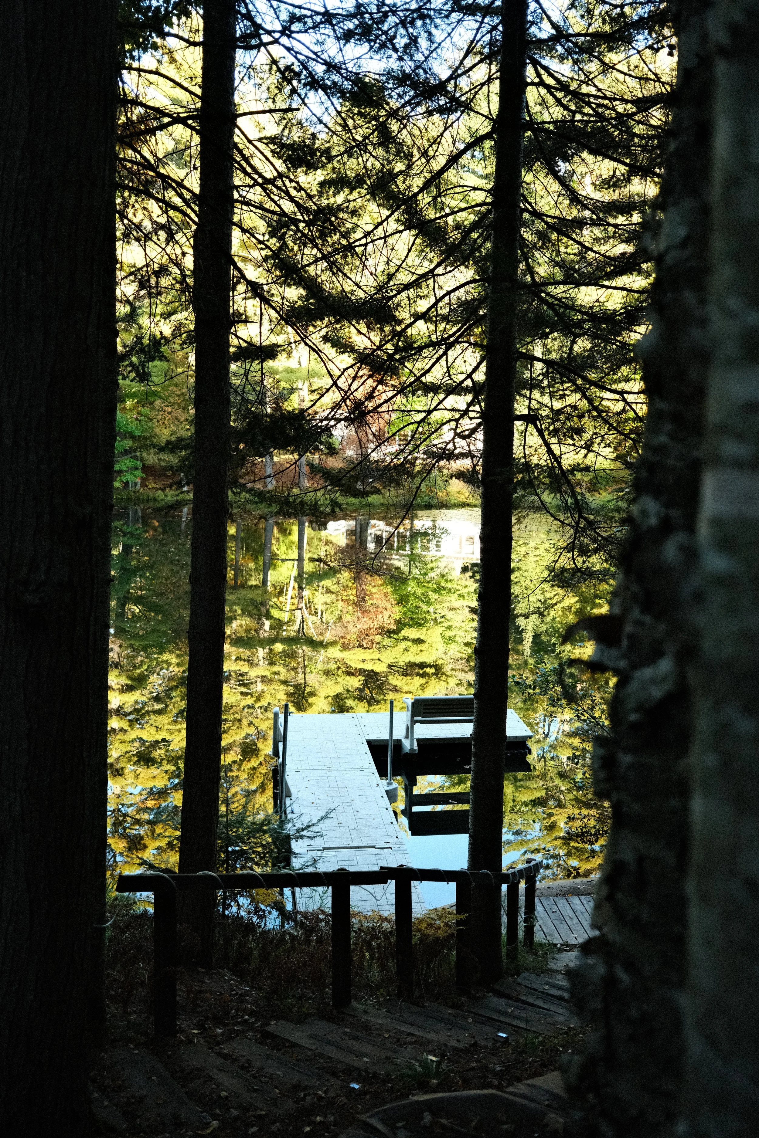 afternoon-the-cub-house.JPG