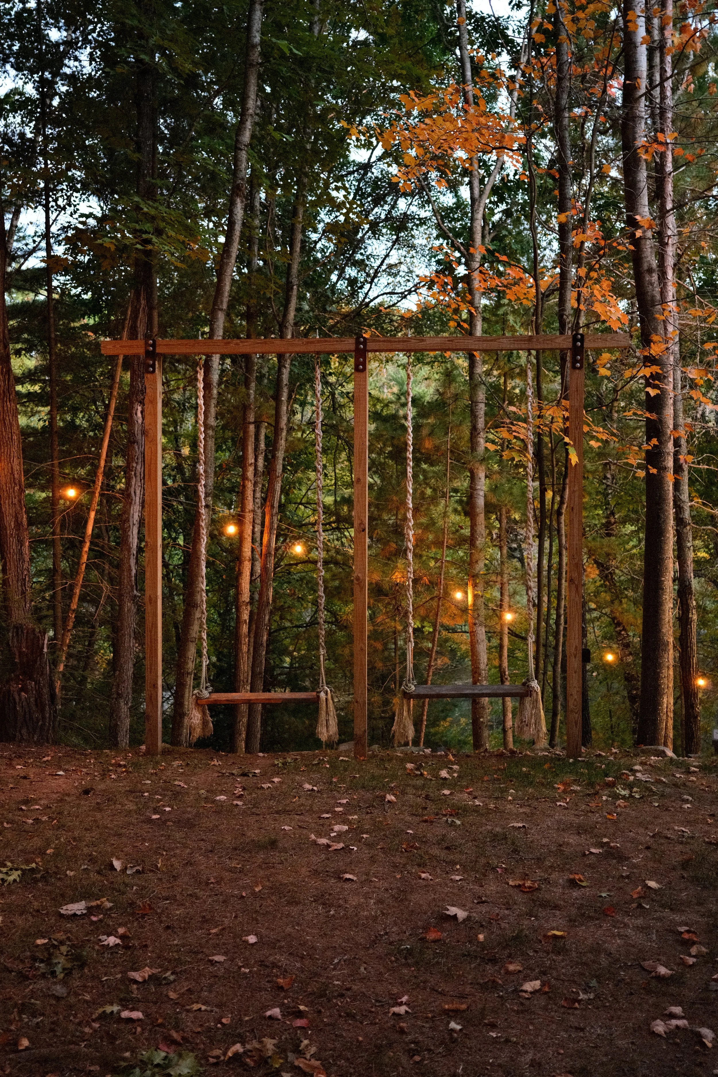 evening-swings.JPG