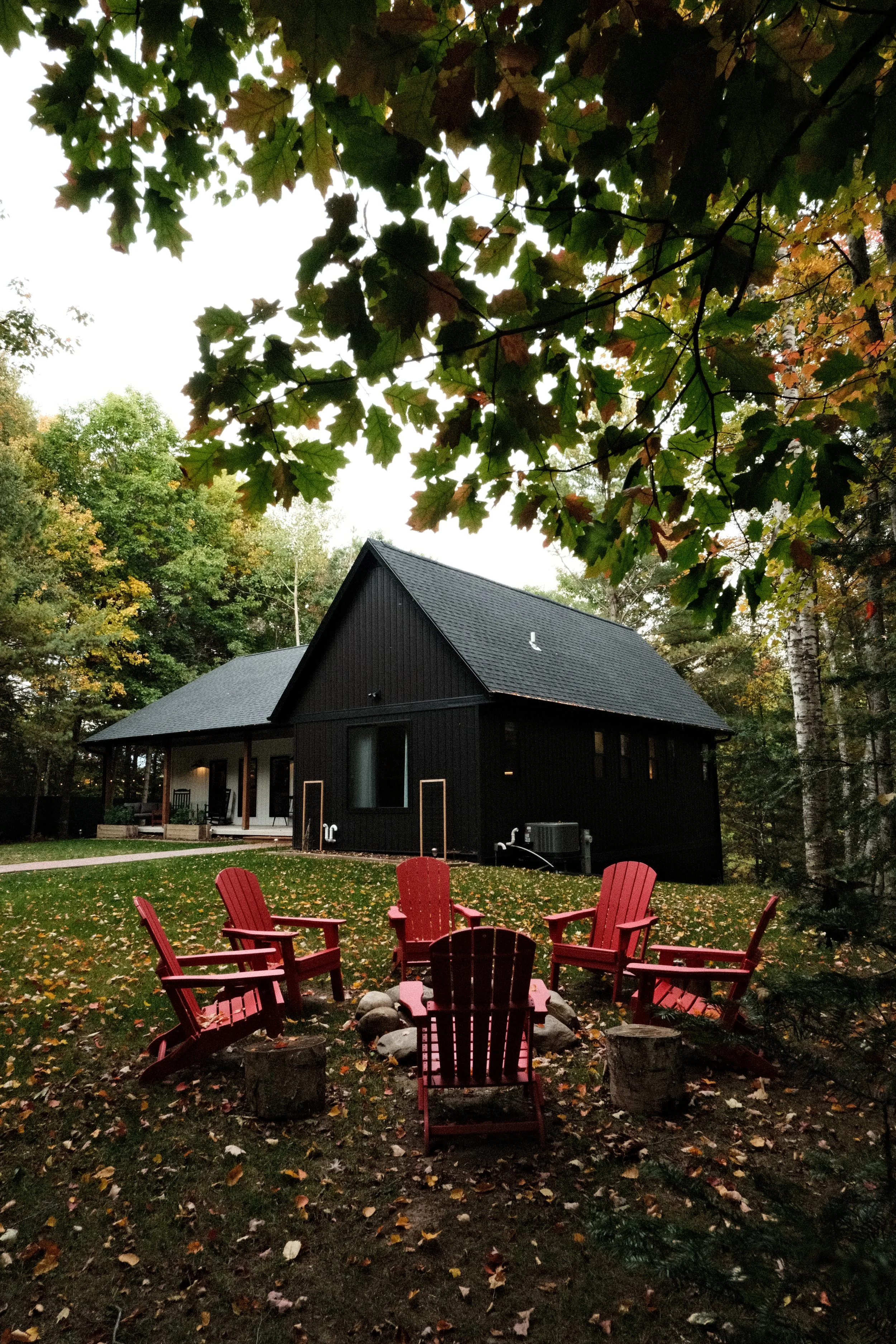 firepit-foliage.JPG