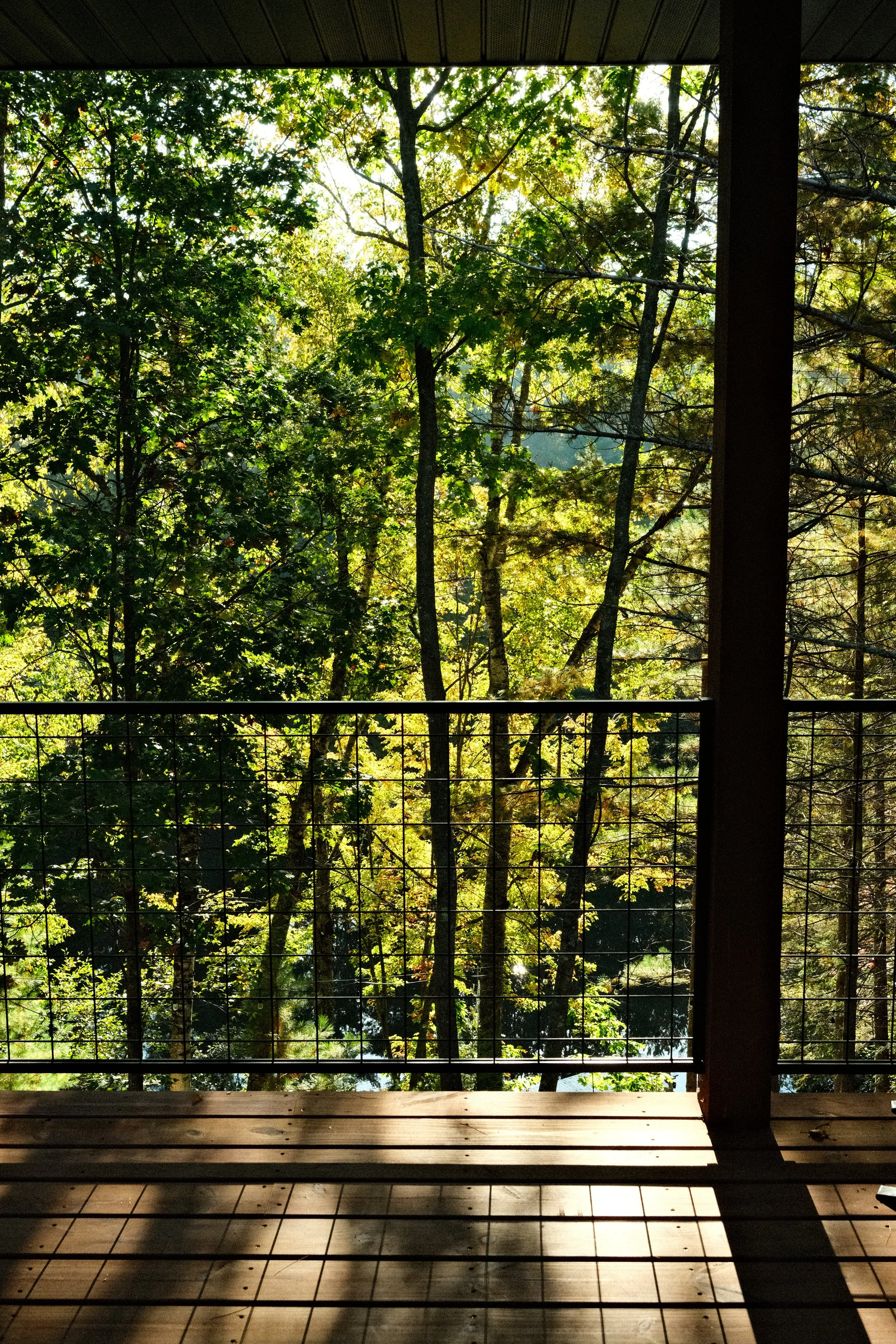 deck-view.JPG