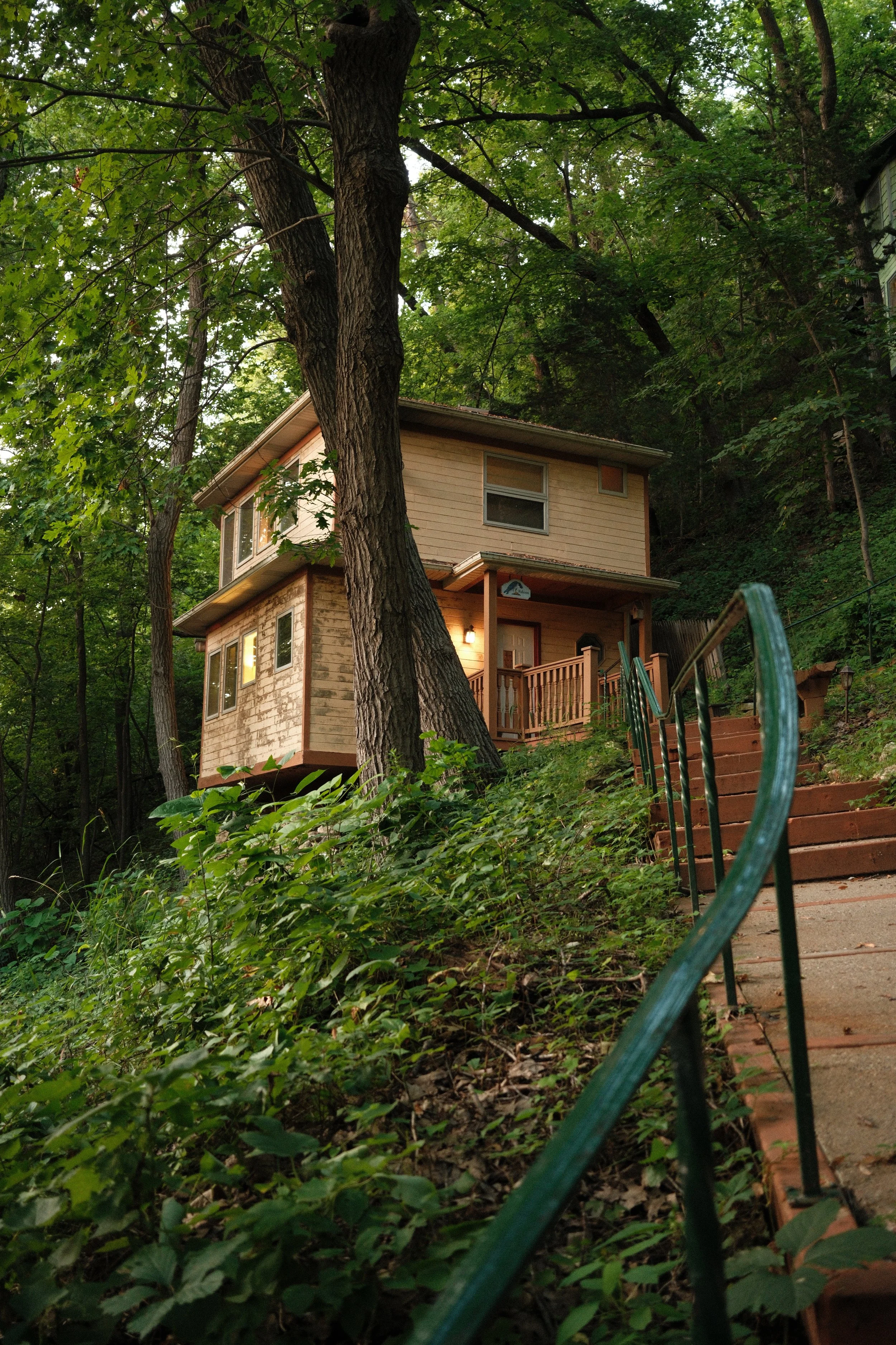 A treehouse built into a hillside surrounded by dense green trees and foliage. A staircase with green railings leads up to the house.