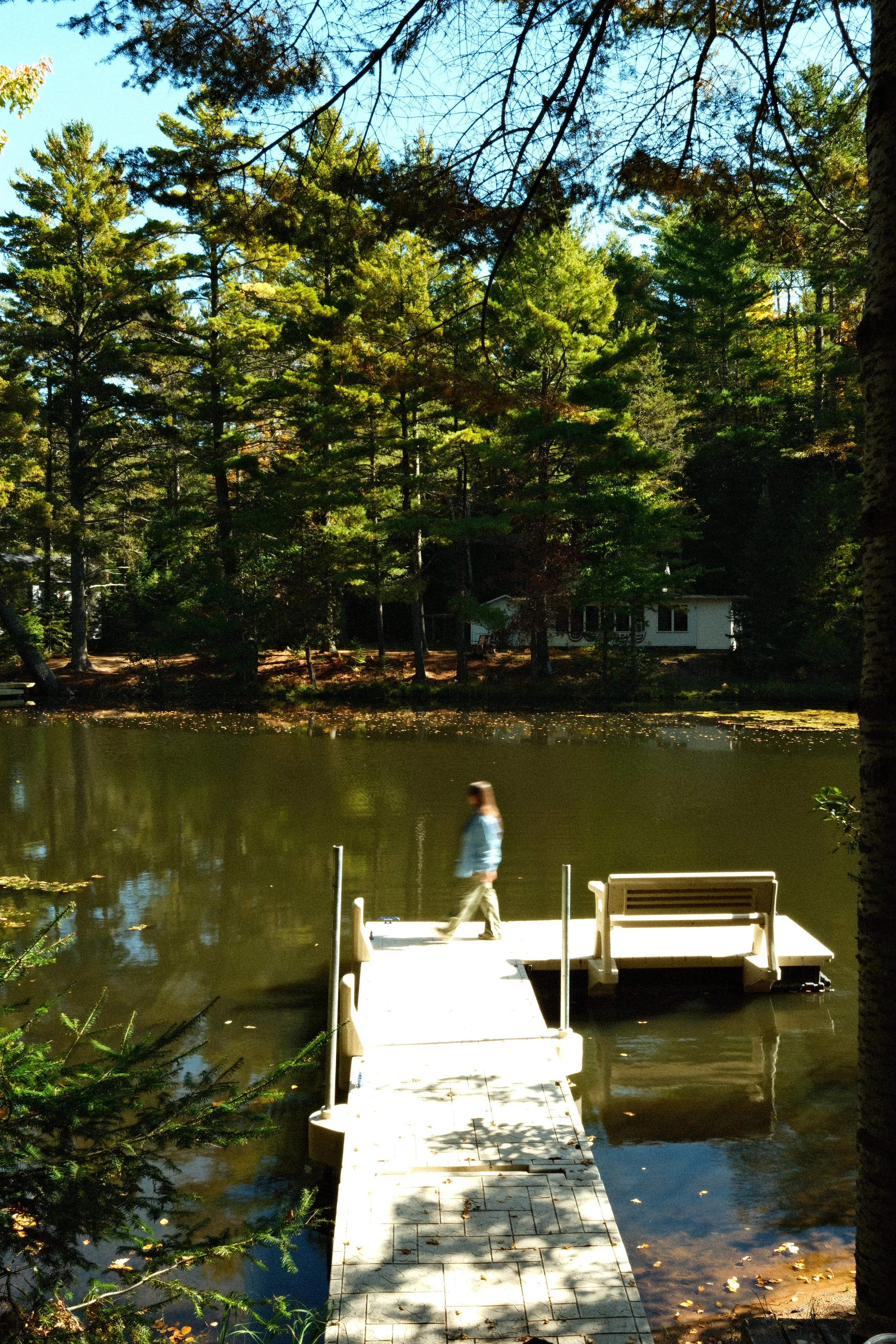 waterfront-dock.JPG