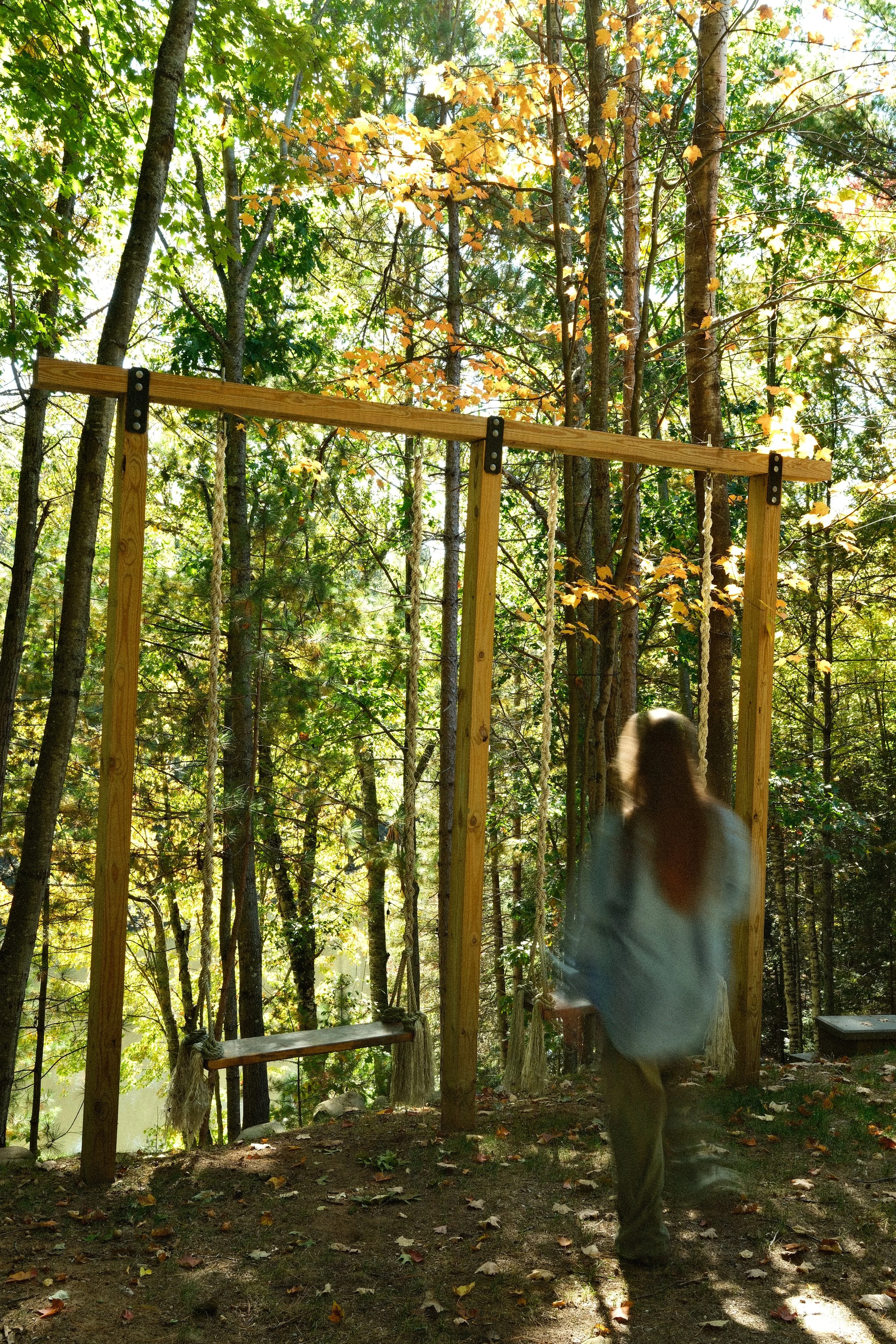 the-cub-house-swings.JPG