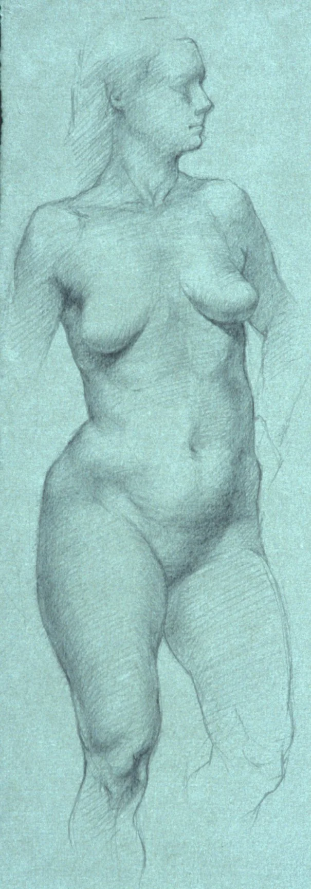 Standing Female
8.5 x 3.25 inches
Graphite on Gray Paper