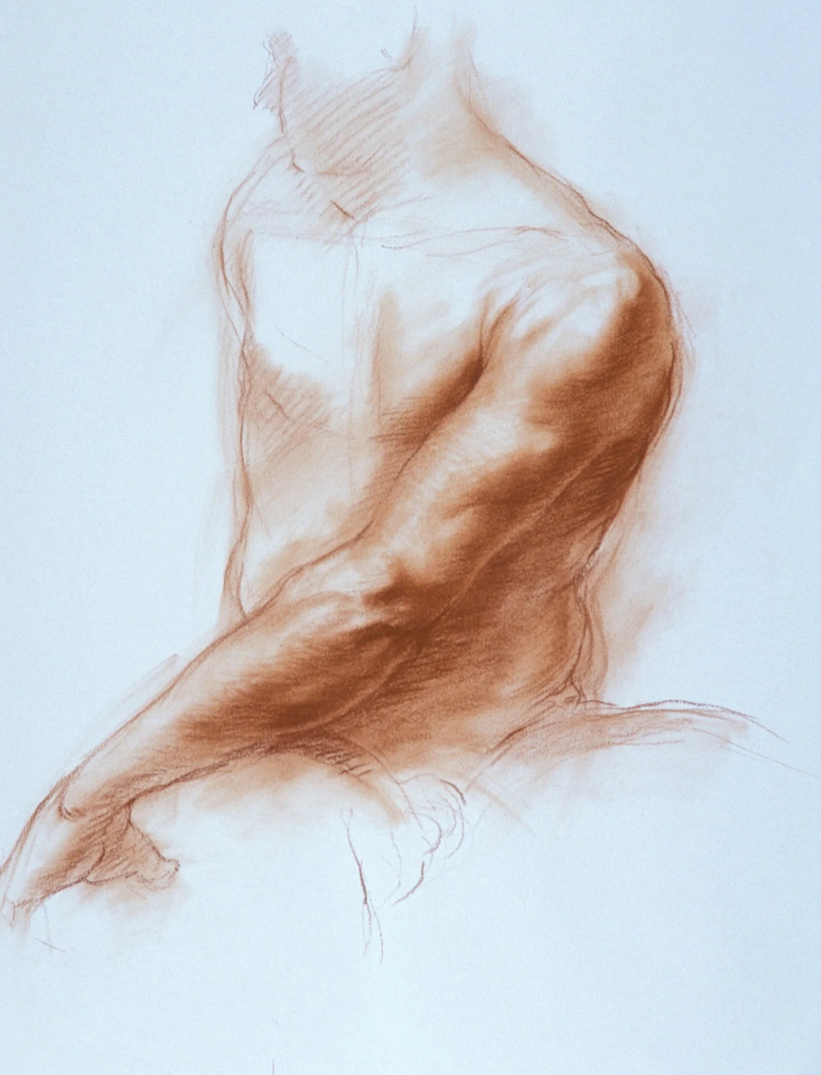 Arm
30 x 22 inches
Red Chalk on White Paper 