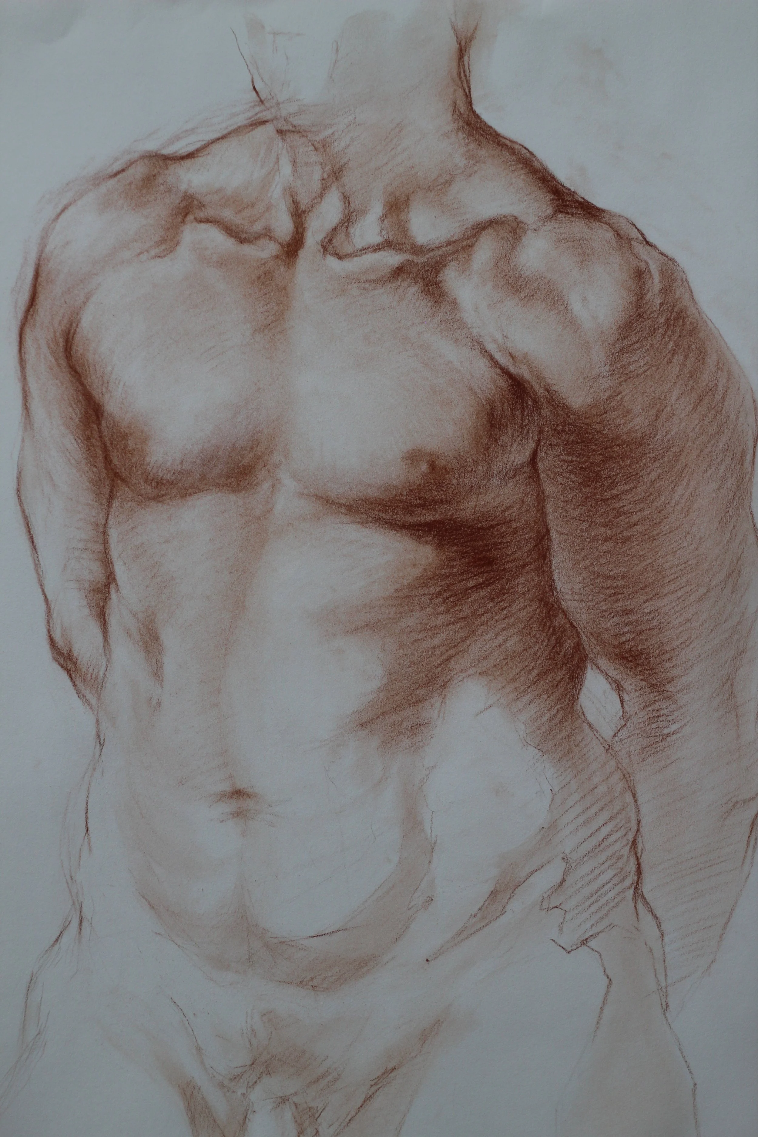 Study of Hercules
40 x 26 inches
Red Chalk on Cream Paper 