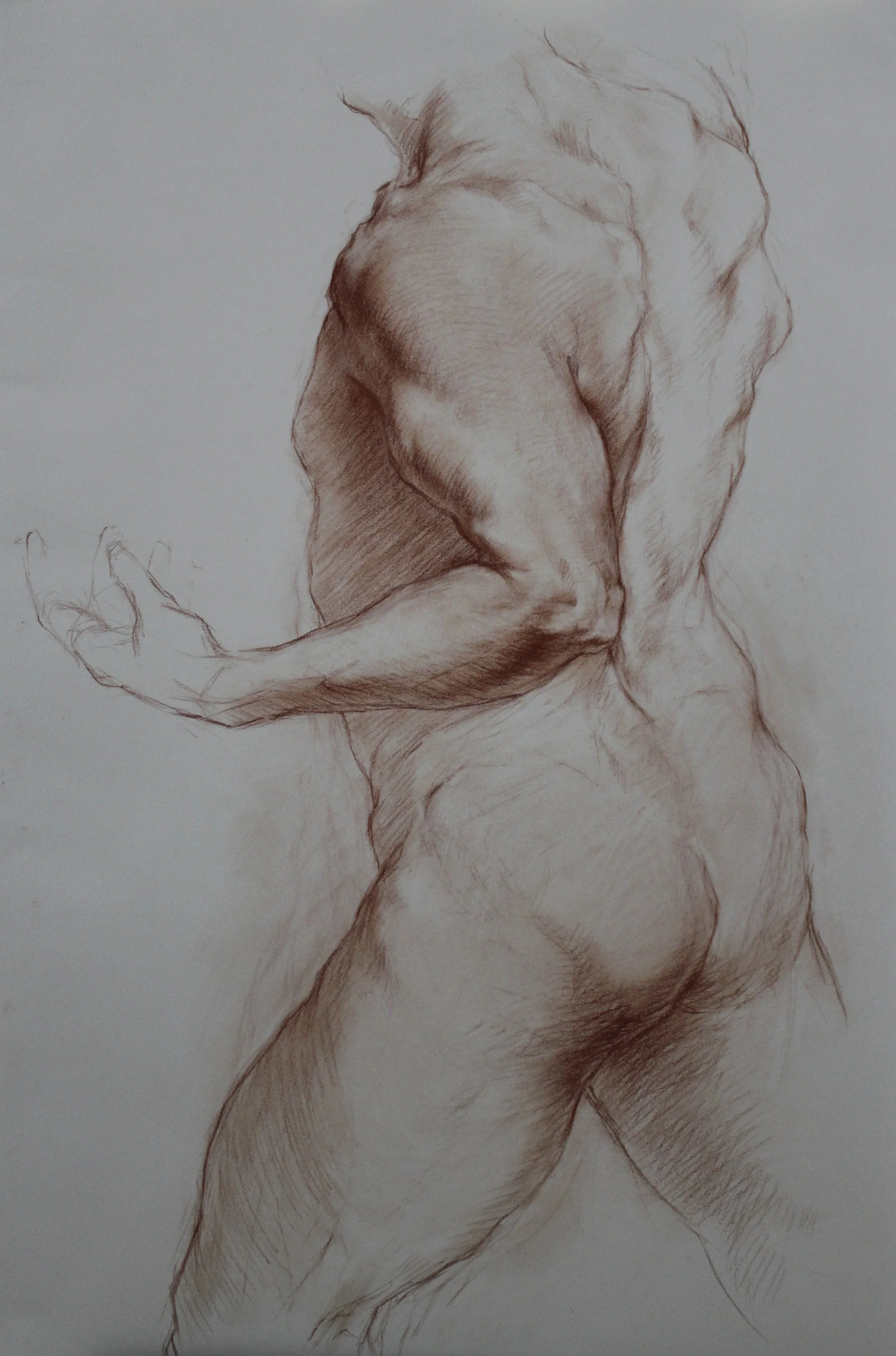 Study of Hercules II
40 x 26 inches
Red Chalk on Cream Paper 