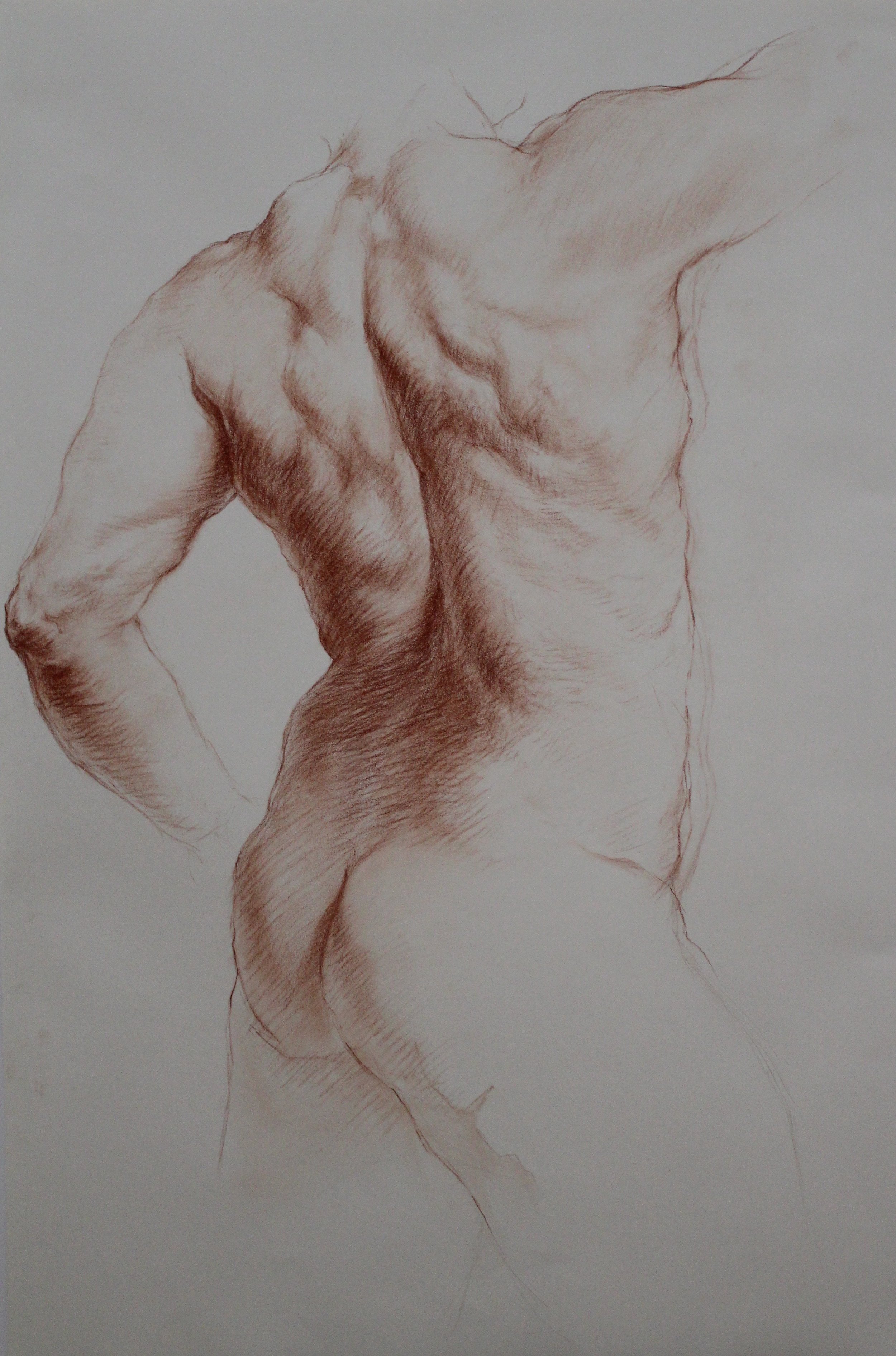 Study of Hercules III
40 x 26 inches
Red Chalk on Cream Paper 
