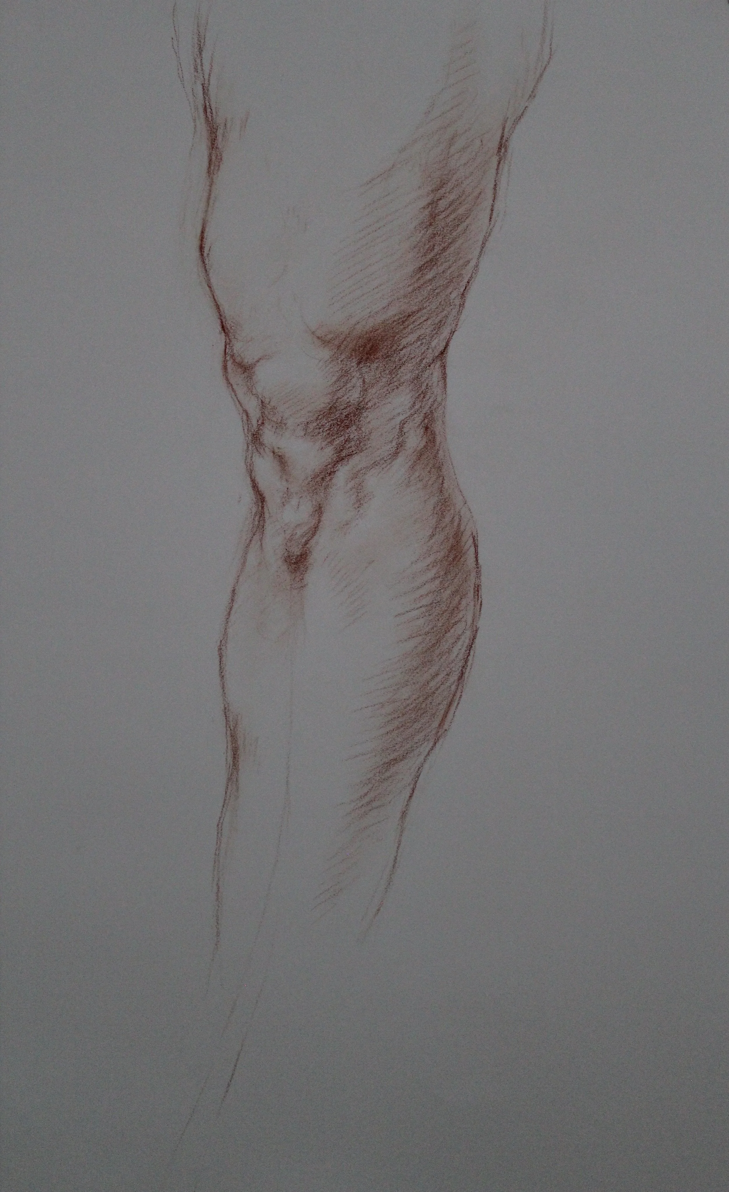 Study of Leg
26 x 19 inches
Red Chalk on White Paper 