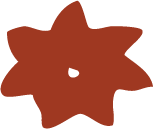 Liberation Therapy Star, Chicago