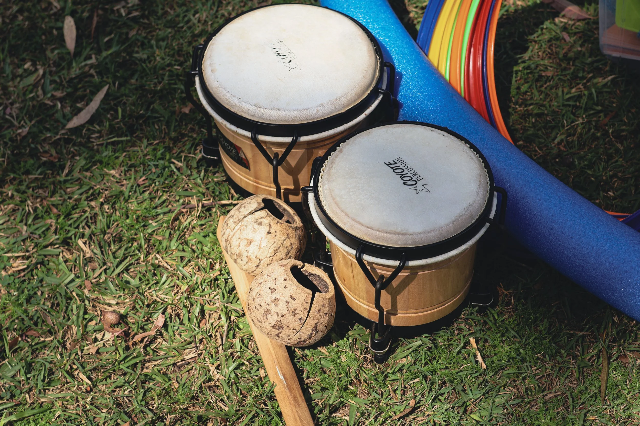 Various Brazilian musical instraments sitting on the grass