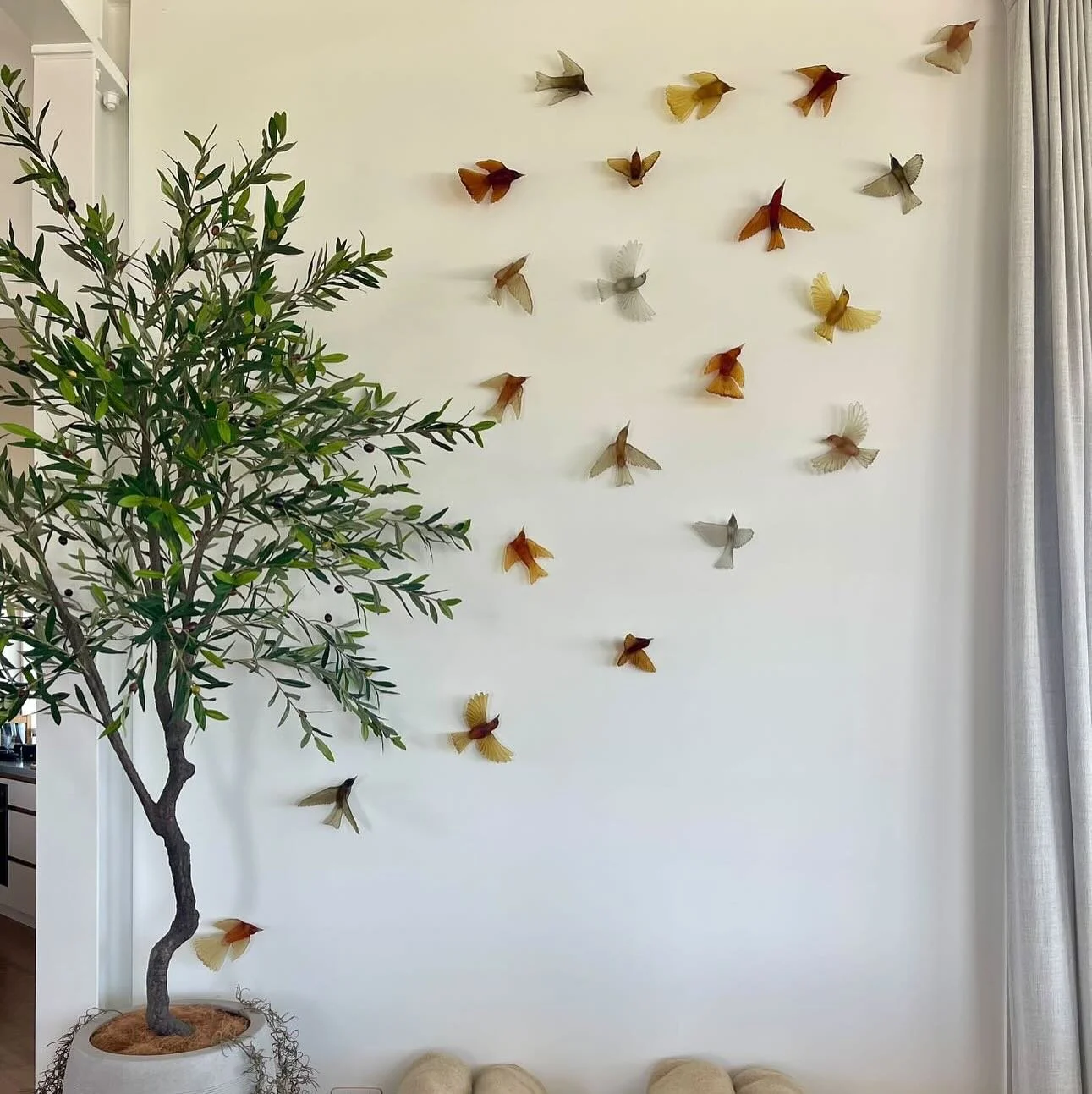 Birds installed on a wall