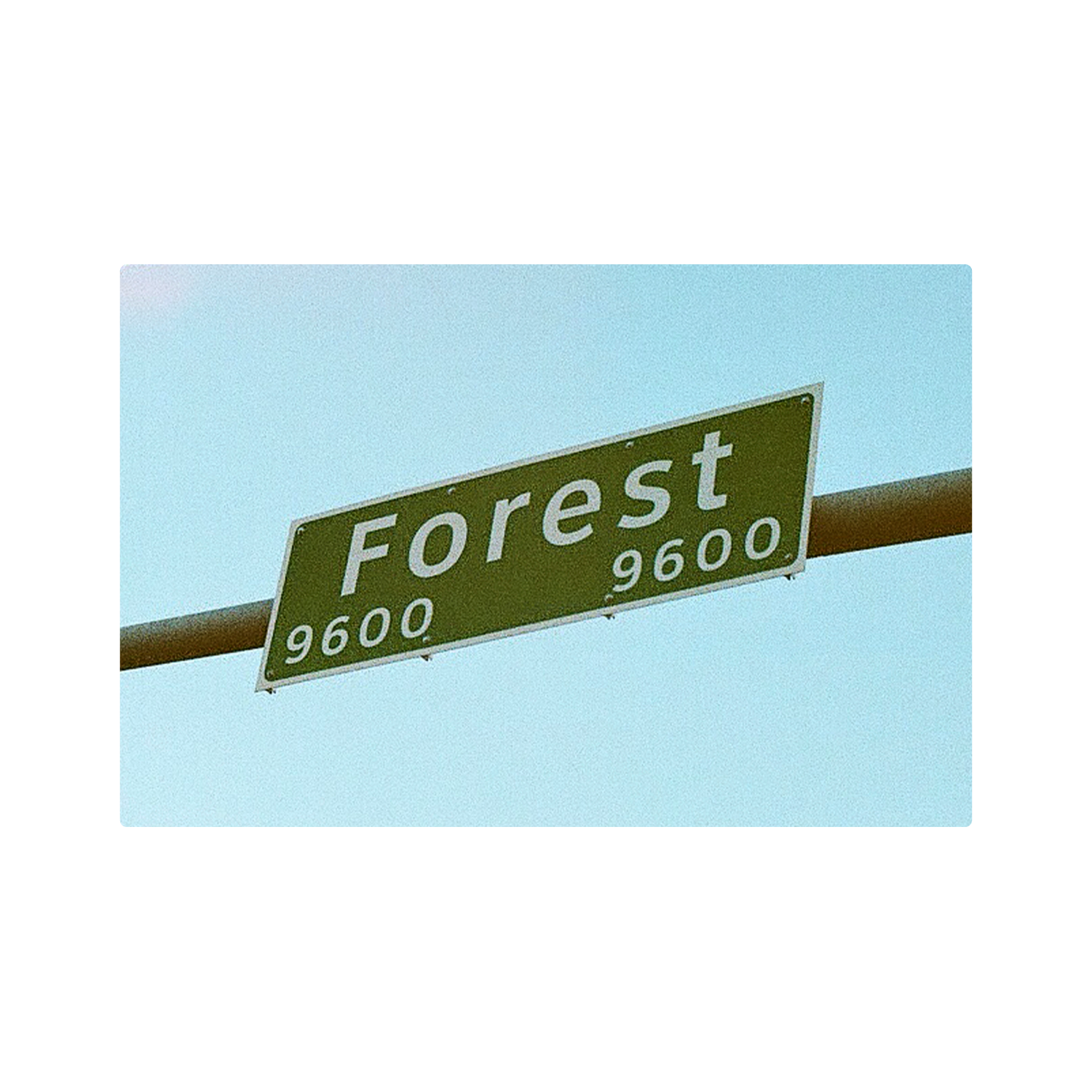 ForestLane.png
