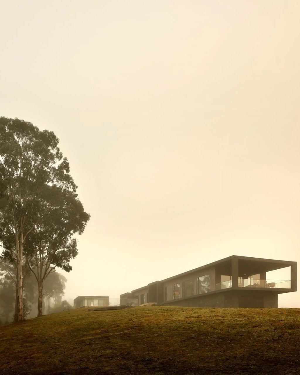 Modern house on a grassy hillside with tall trees and foggy sky in the background.