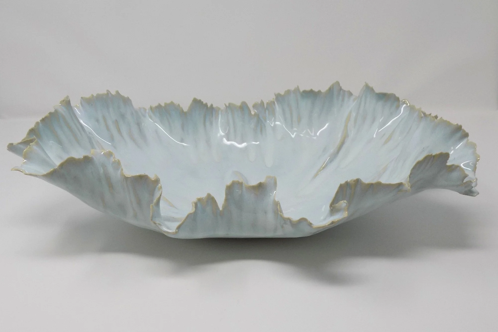 ceramic artist - sacha whitehead (1).jpg