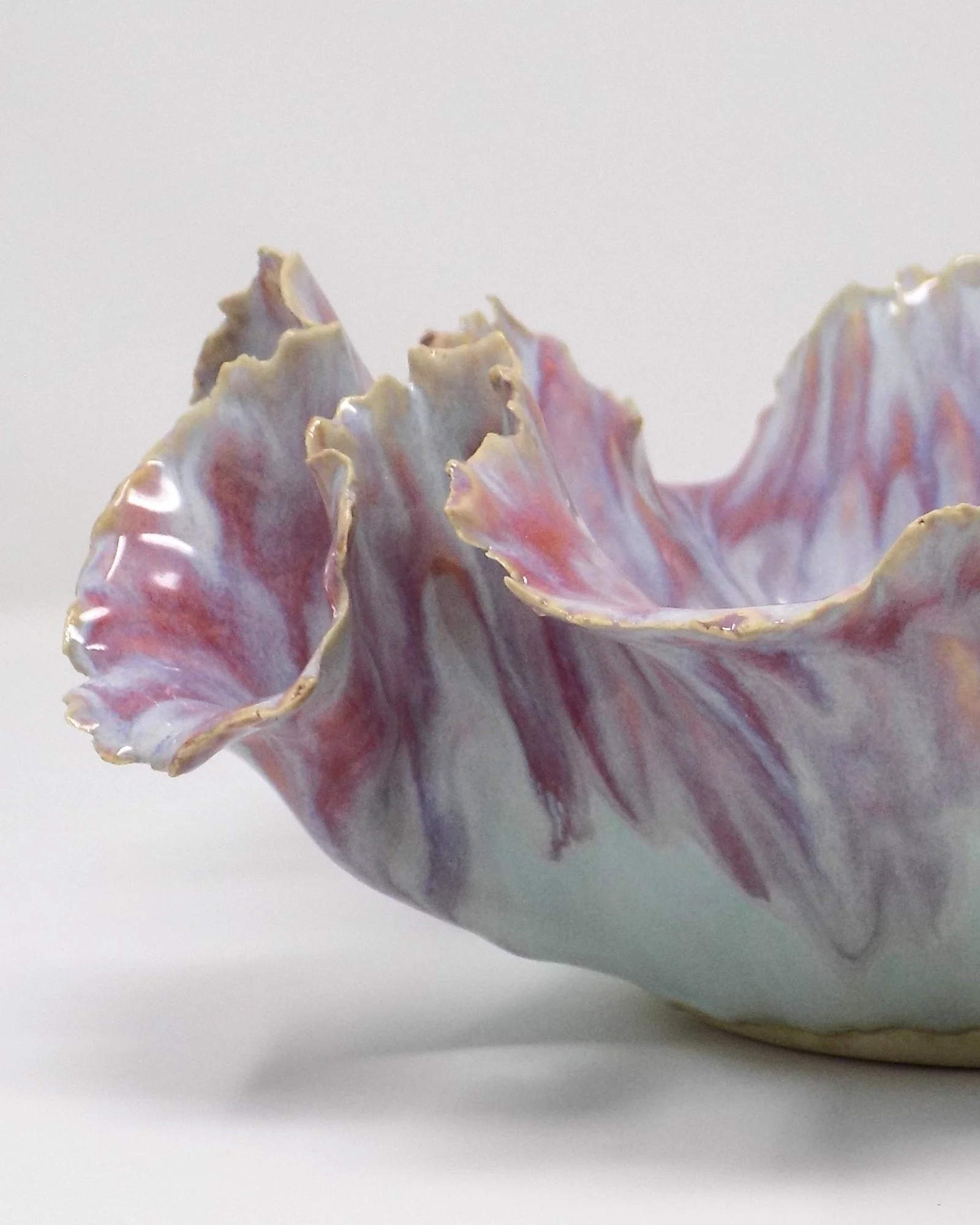 ceramic artist - sacha whitehead (2).jpg