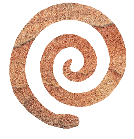 Close-up of a spiral fossil embedded in a circular cross-section of stone or mineral with a black background.