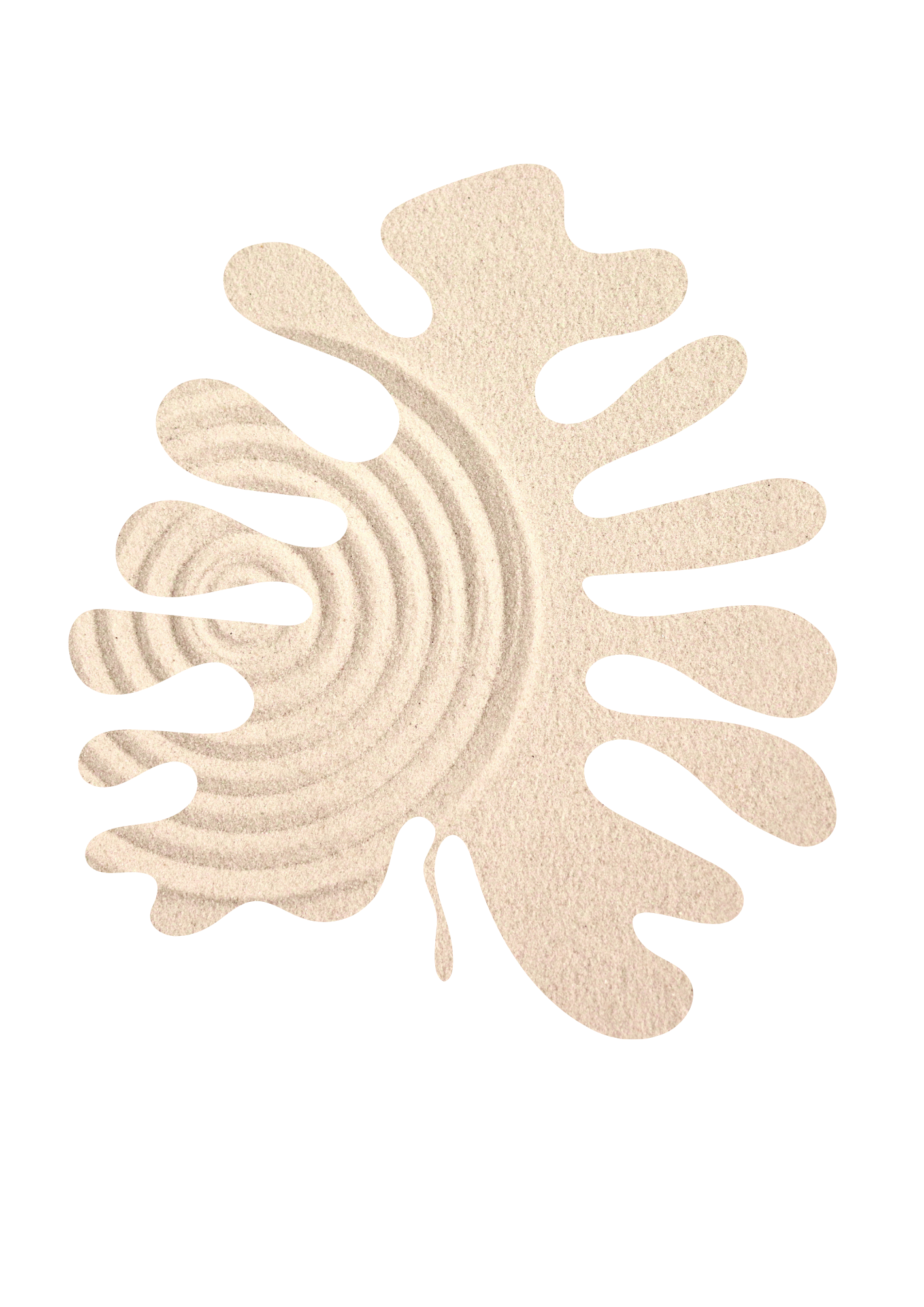 Close-up of a beige, textured object with rounded, irregular shapes and concentric spiral patterns, resembling a sponge or coral structure.