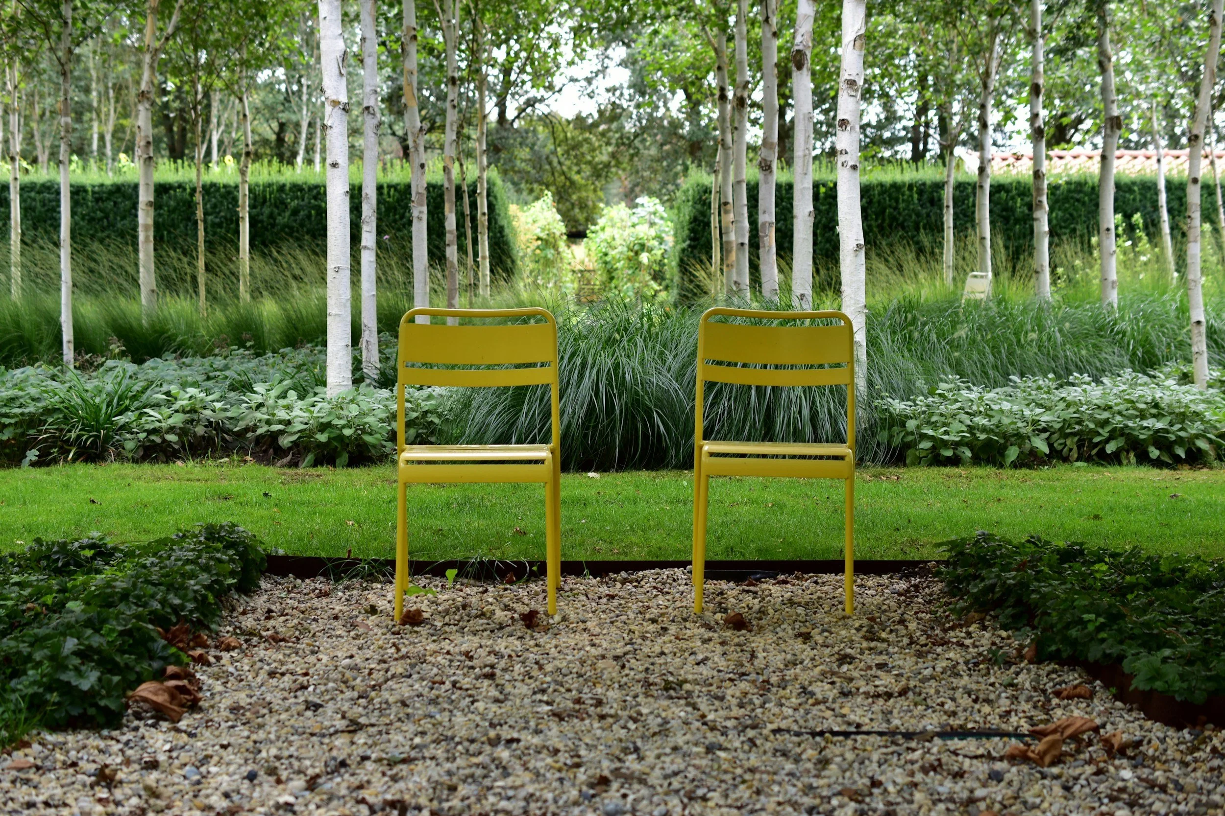 Two yellow chairs are placed on a gravel path in a lush garden with green grass, leafy plants, and tall white trees in the background.