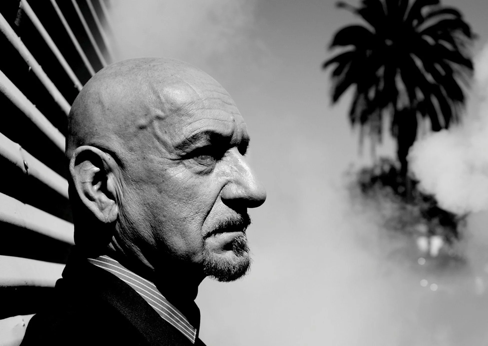 0292_2008-04-13_Ben-Kingsley_80413_025280_crop_f.jpg