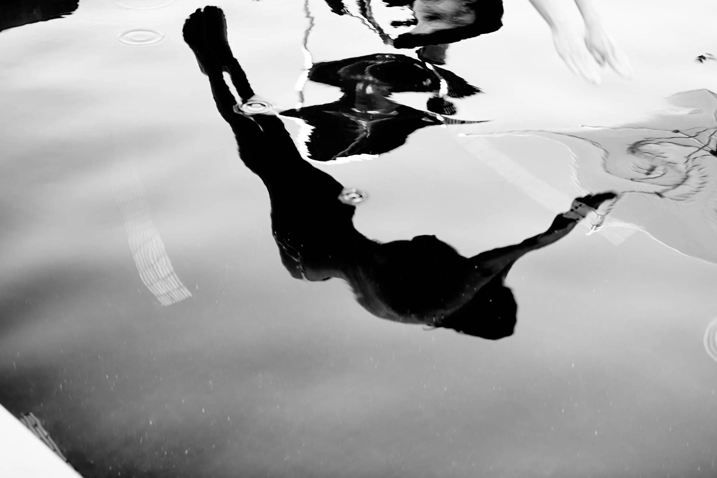BILL_KAULITZ_000863_f.jpg