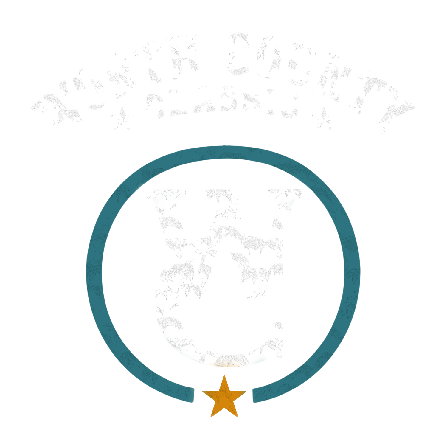 Worth County Classic Rodeo