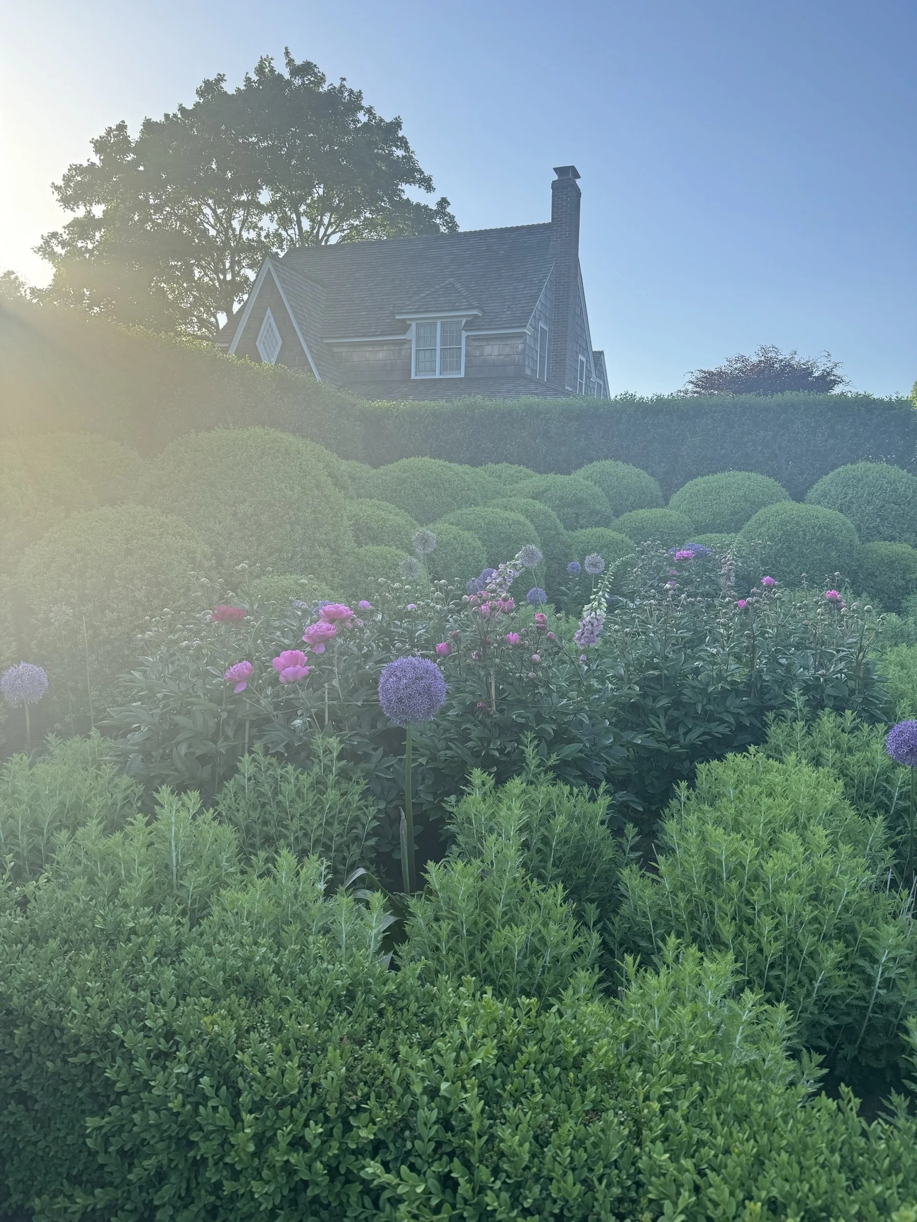 IMG_6002.jpeg