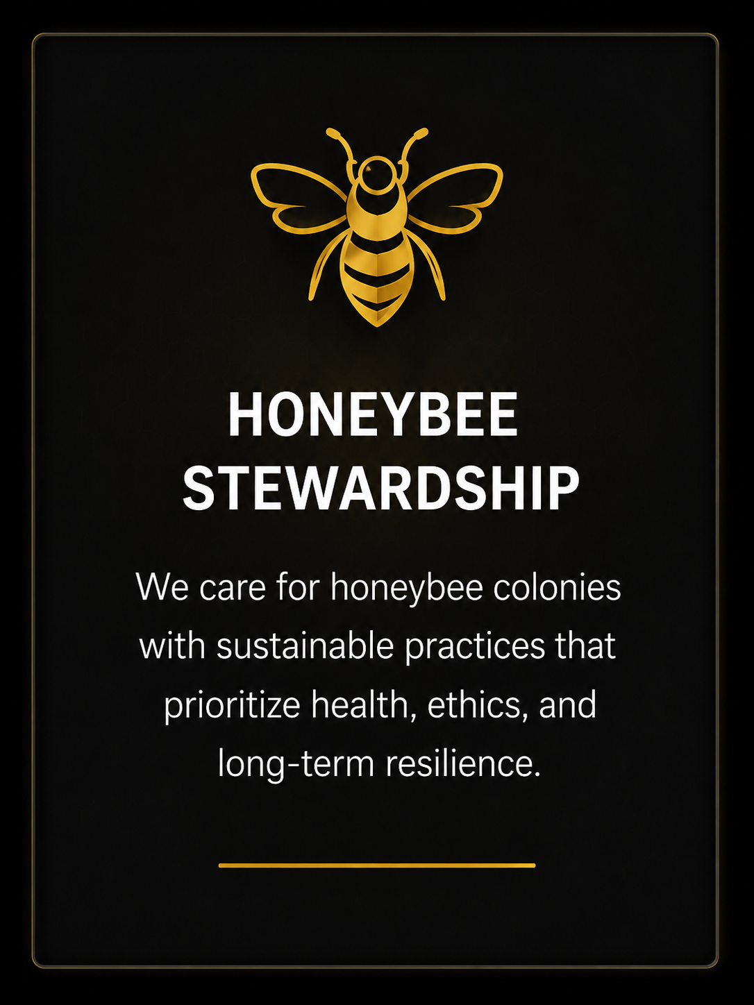 Black sign with a gold outline honeybee at the top, and the words 'HONEYBEE STEWARDSHIP' in large white letters. Below, smaller white text states, 'We care for honeybee colonies with sustainable practices that prioritize health, ethics, and long-term resilience.' The sign has a thin gold border.