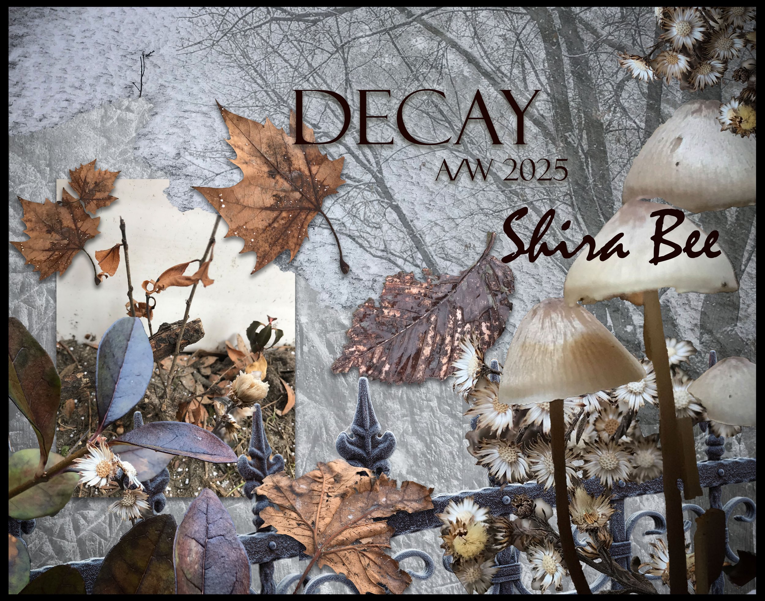 Decay