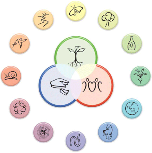 Diagram showing the 12 Permaculture Principles