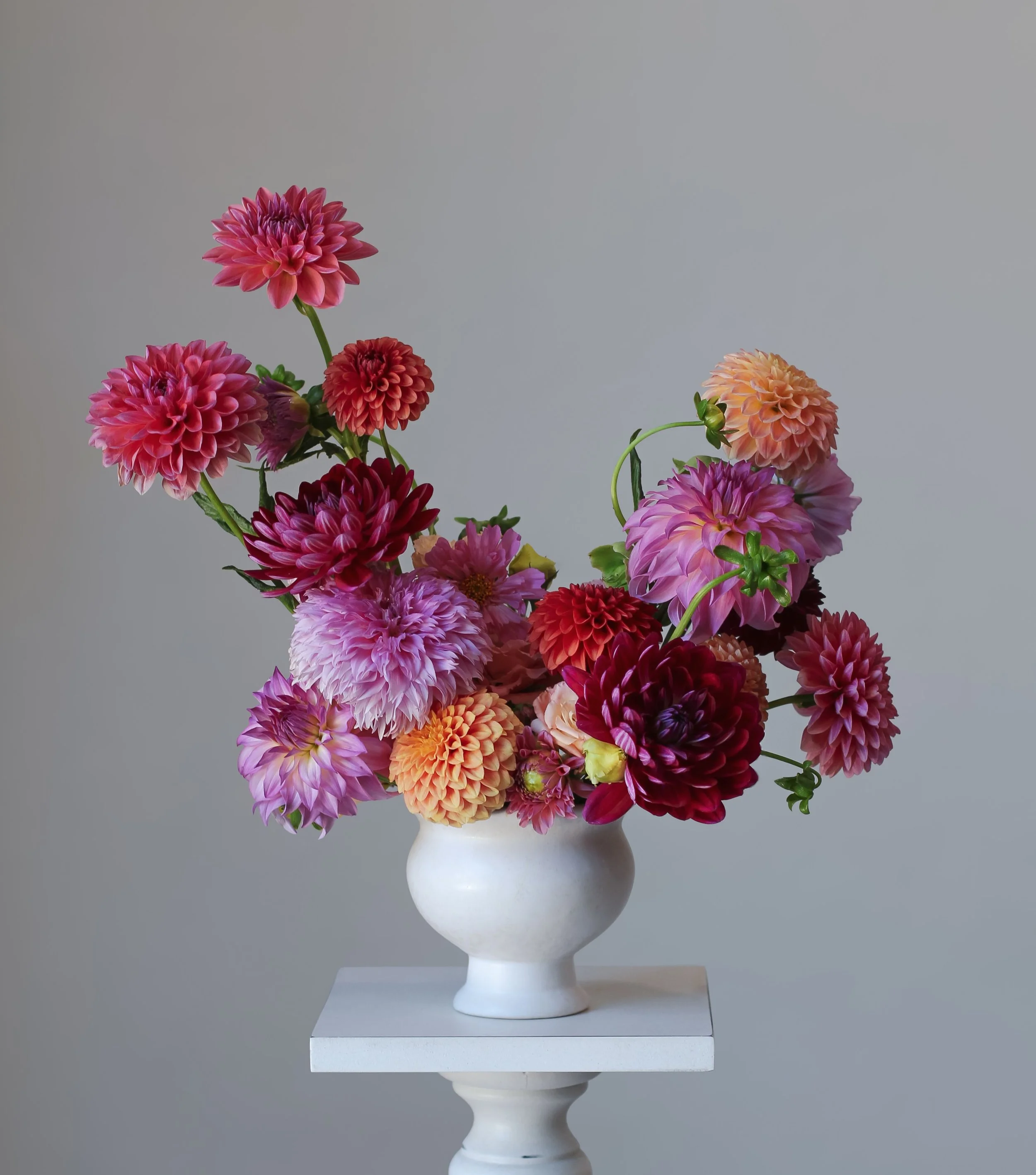 Dahlias, dahlias, &amp; more dahlias. so many beautiful varieties grown locally here in Sacramento. Thank you Kara @flowers4revelry for growing these beauties! 🩷🧡