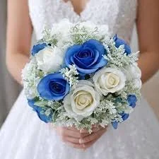 images (13).jpg