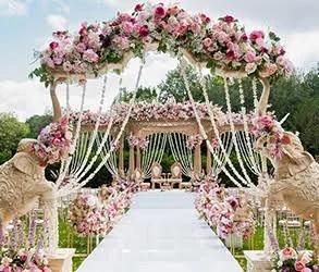 images (19).jpg