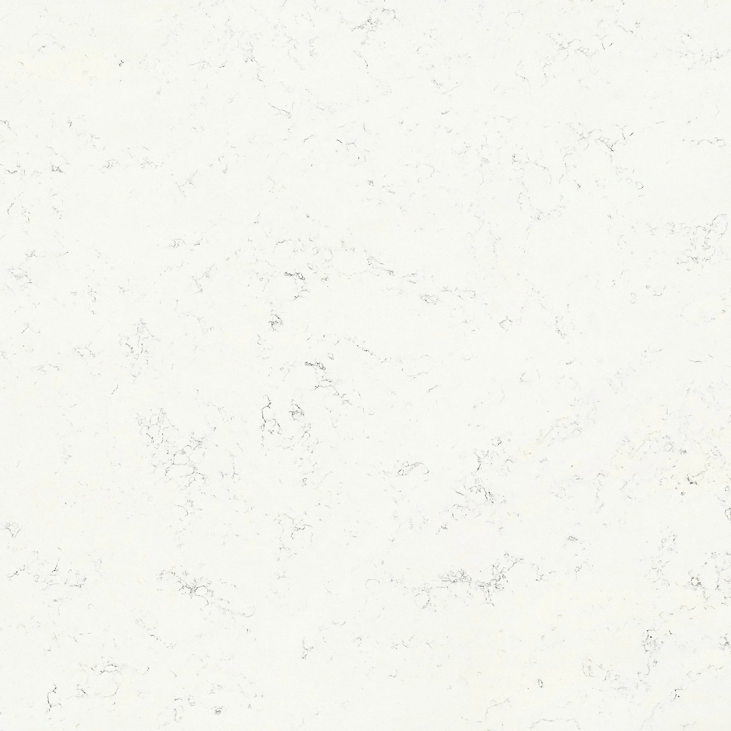 Crema Marmore