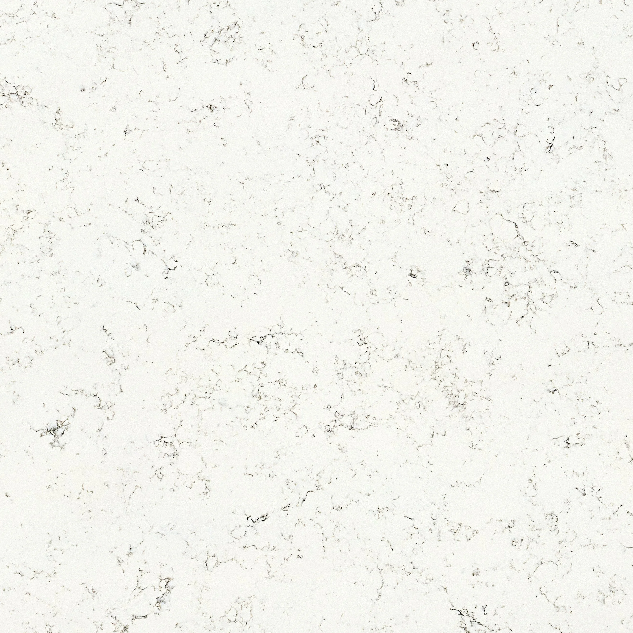 Bianco Marmo